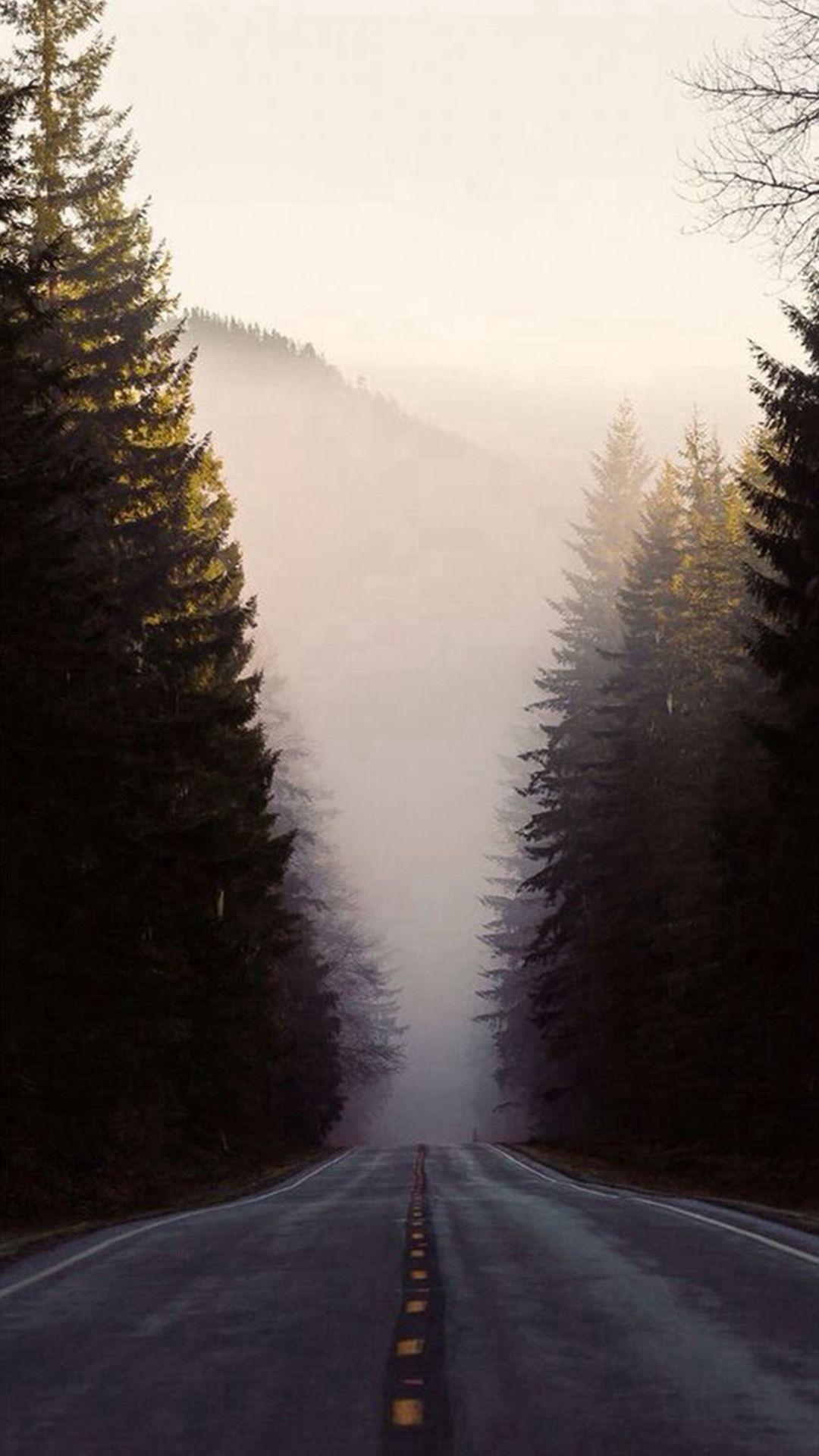 1080x1920 Misty Forest Road Pine Trees 8 Wallpaper Road