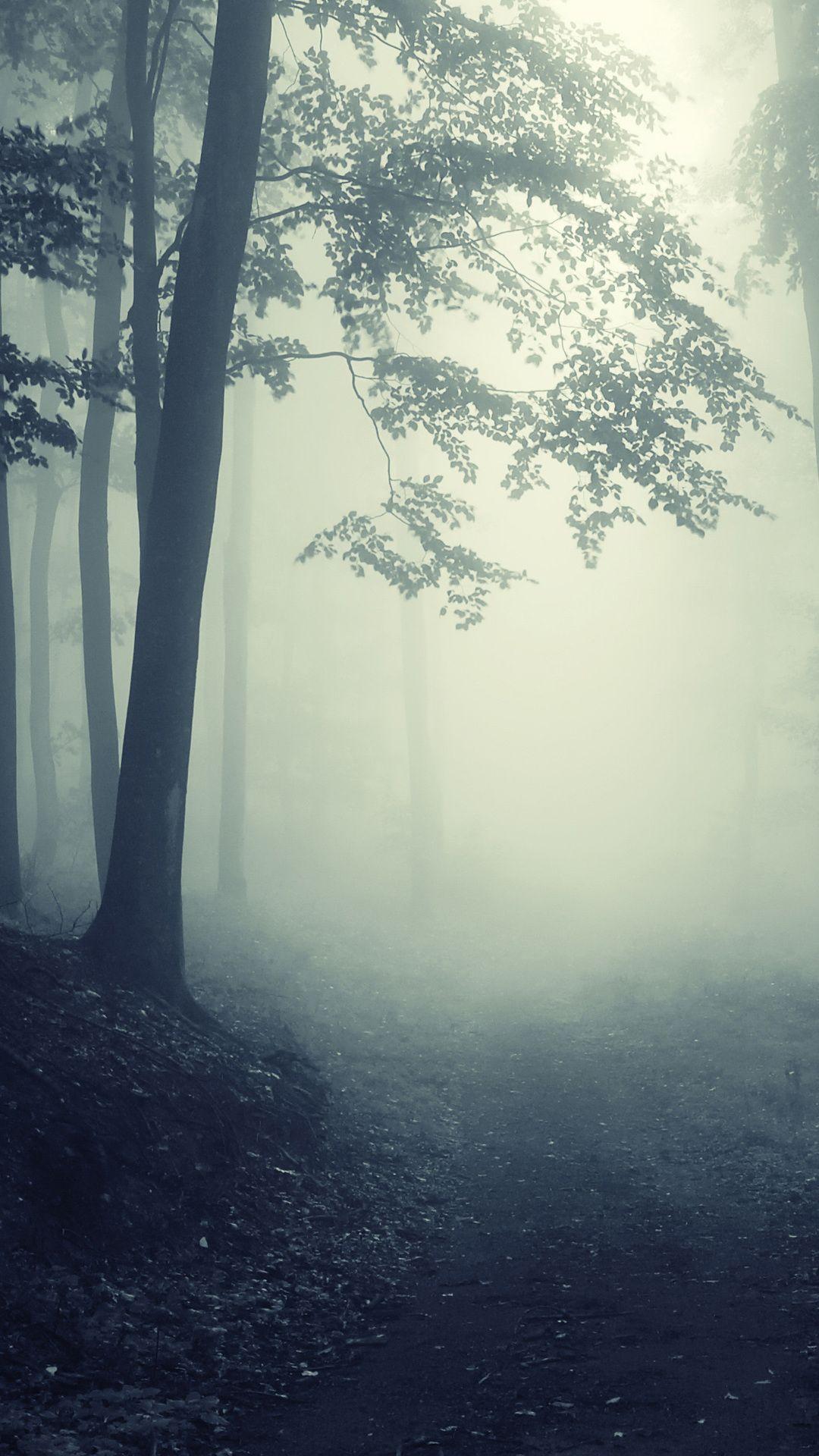 1080x1920 forest, foggy, forest, creepy, landscape, road, nature