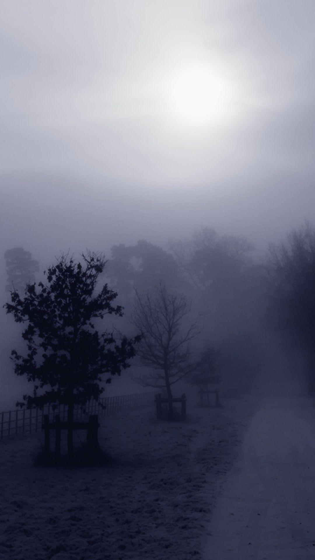 1080x1920 Misty Road Phone Wallpaper Morning Cell Phone, Download