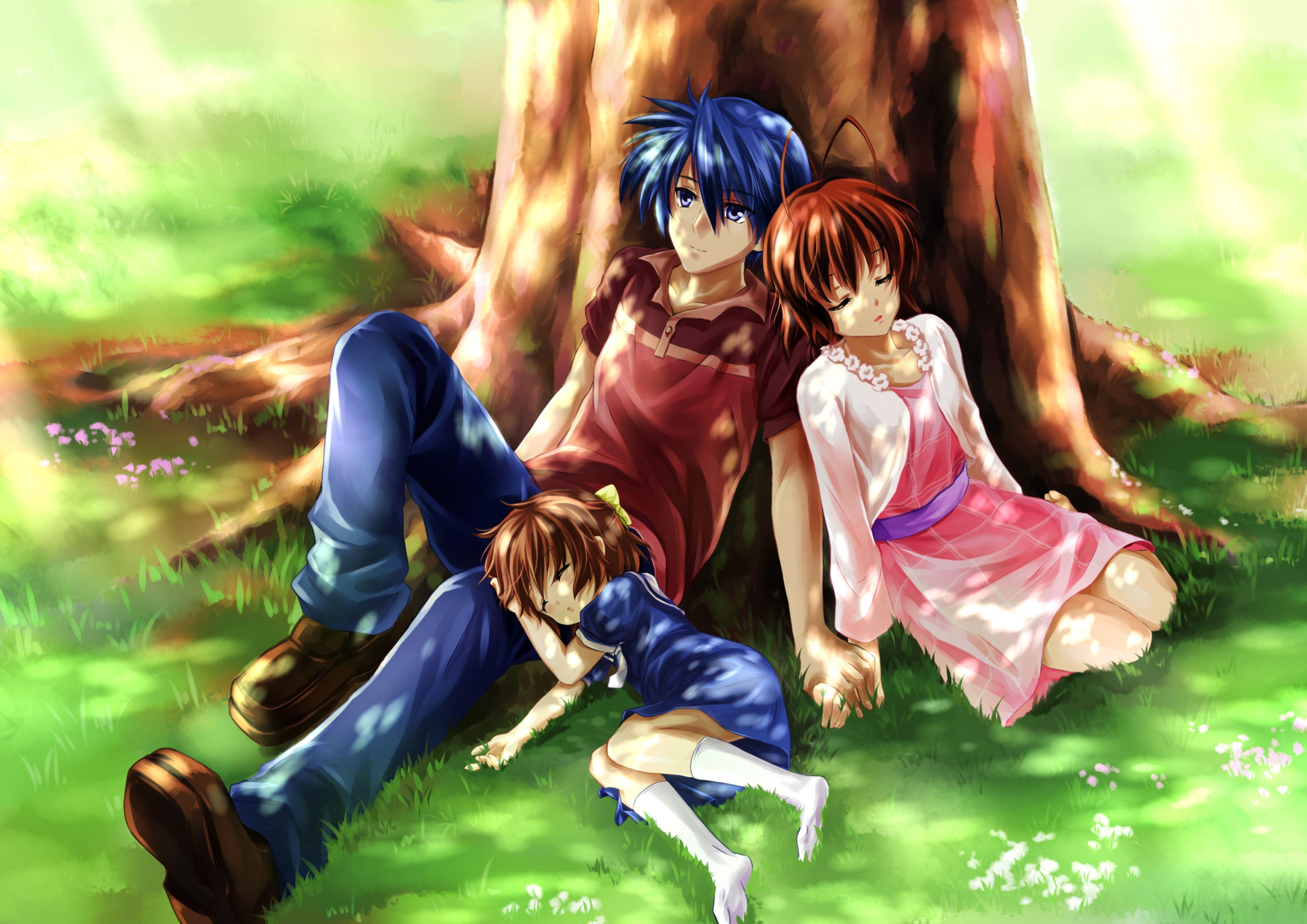 4093x2894 Blue, Bow, Brown, Clannad, Eyes, Furukawa, Grass, Hair