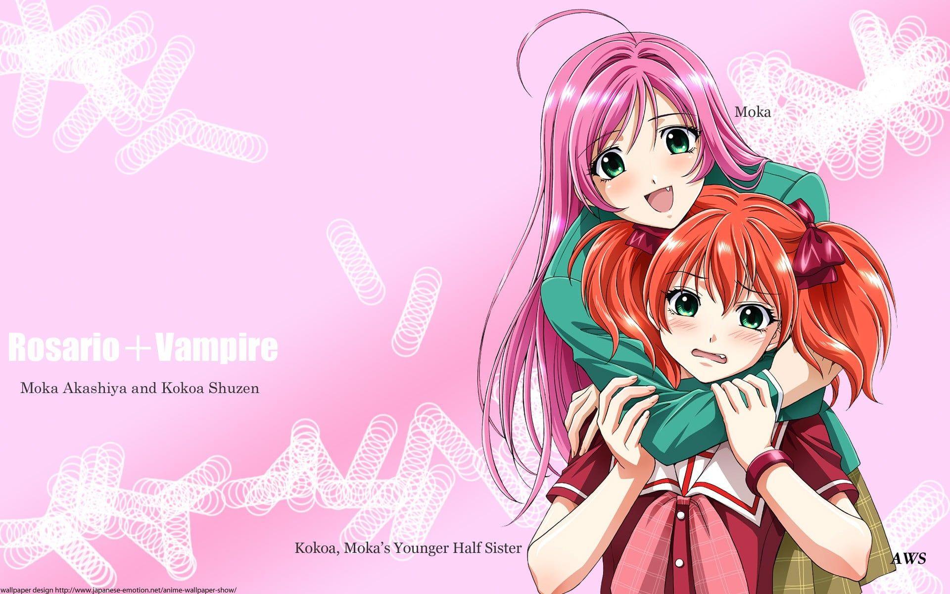 Rosario Vampire wallpaper, 2560x1600, 51776