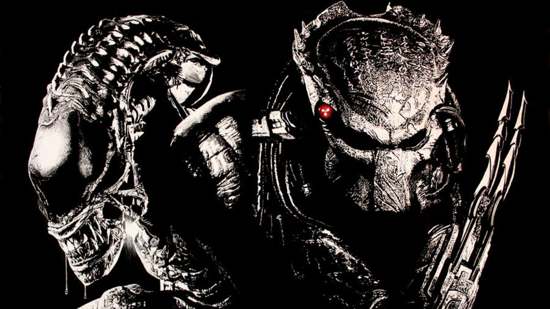 Alien Vs Predator alien avp predator HD wallpaper  Peakpx