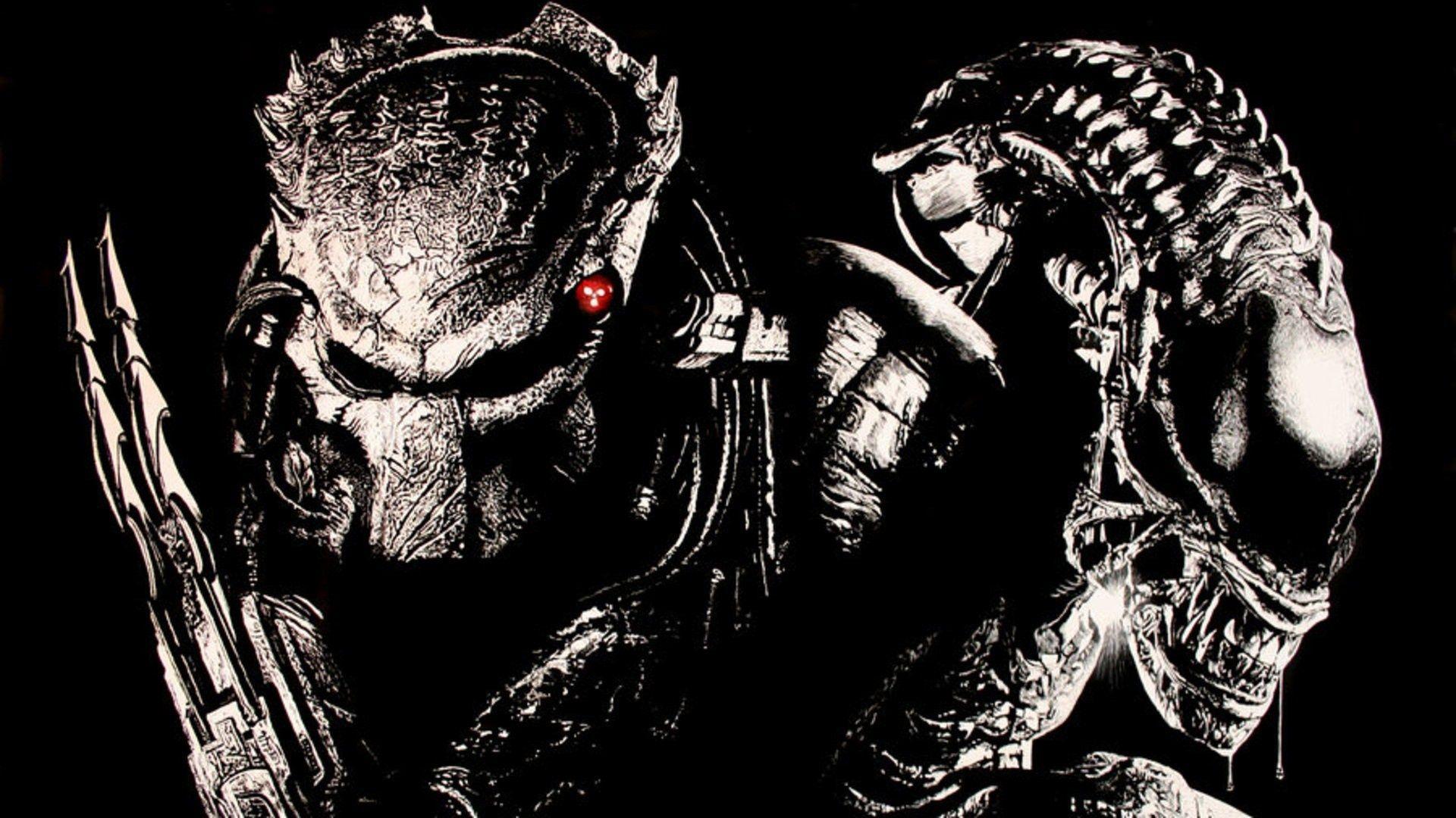 Alien Vs Predator Wallpapers Bigbeamng Store