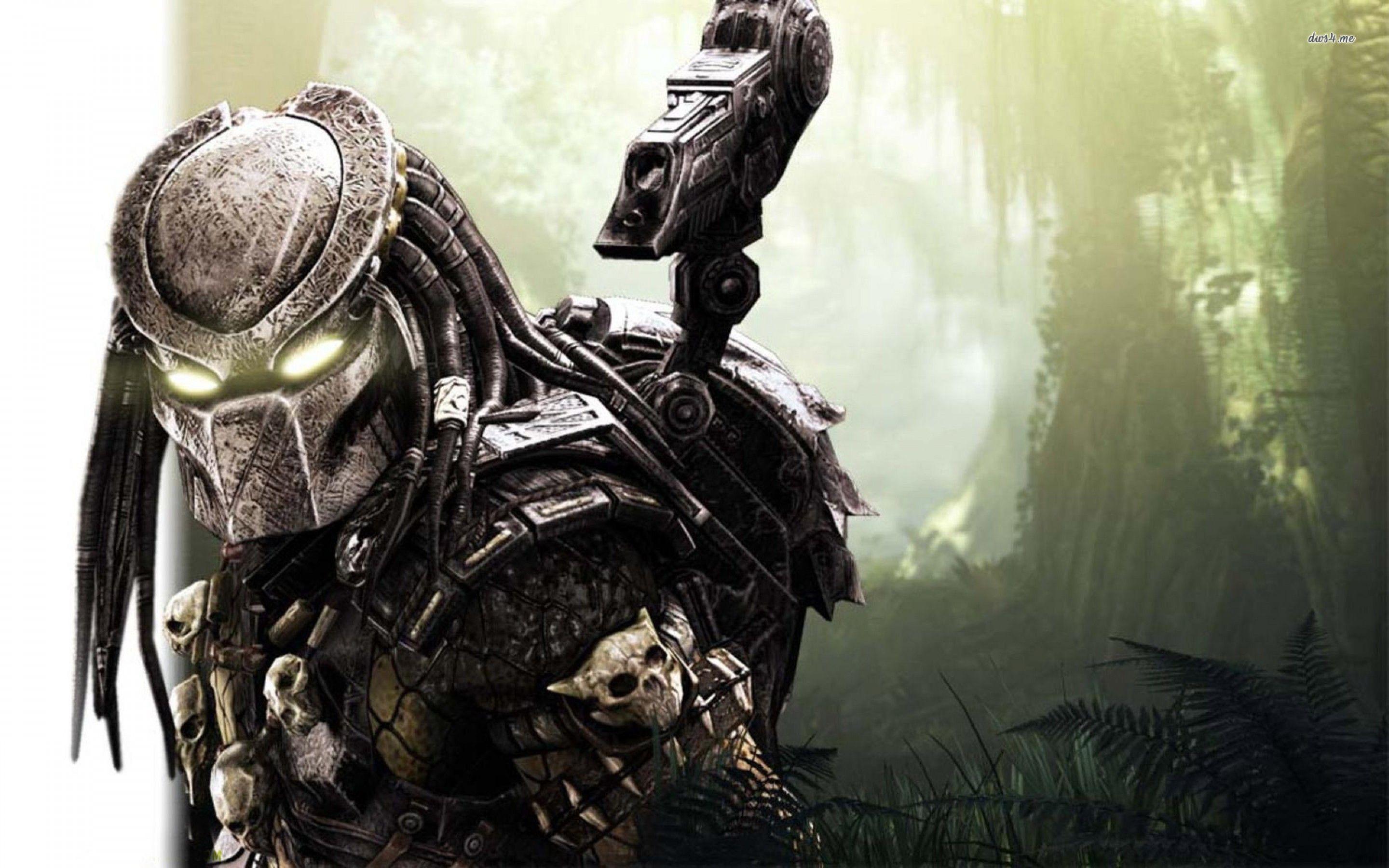 Alien vs predator HD wallpapers  Pxfuel