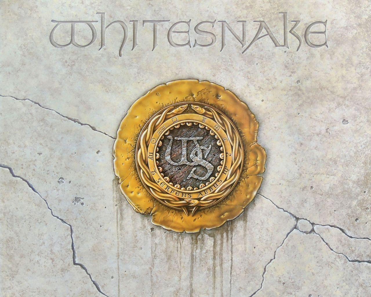 1280x1024 Whitesnake Wallpaper