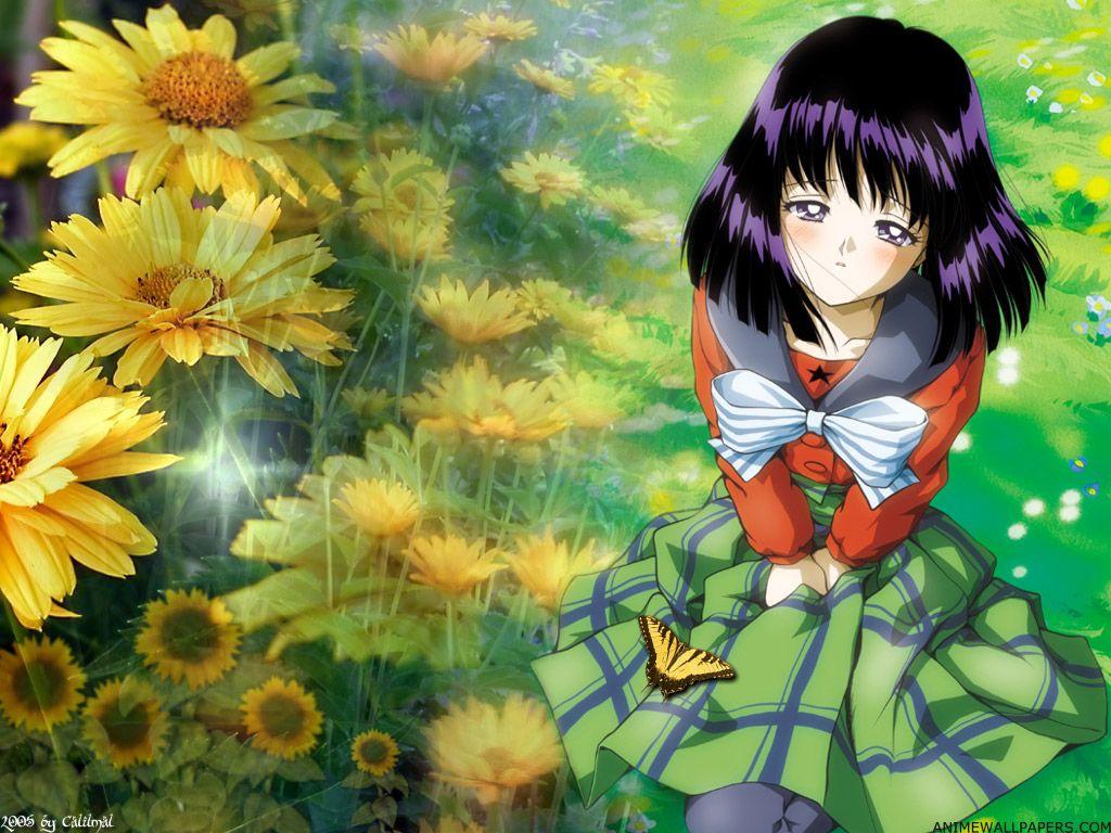 1024x768 Hotaru Tomoe