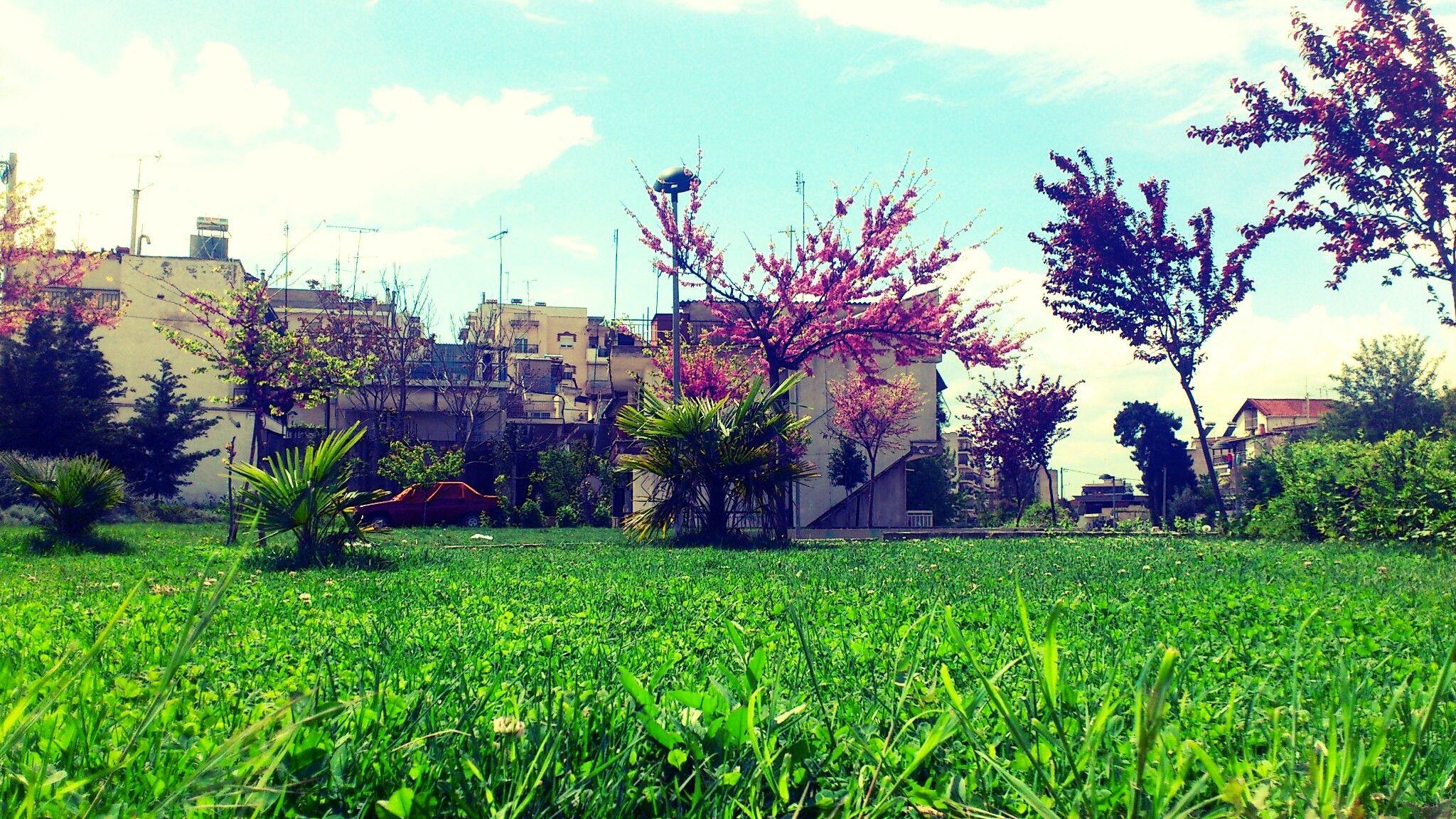 2048x1152 Thessaloniki, Stavroupoli, Grass, Trees, Building, Greece