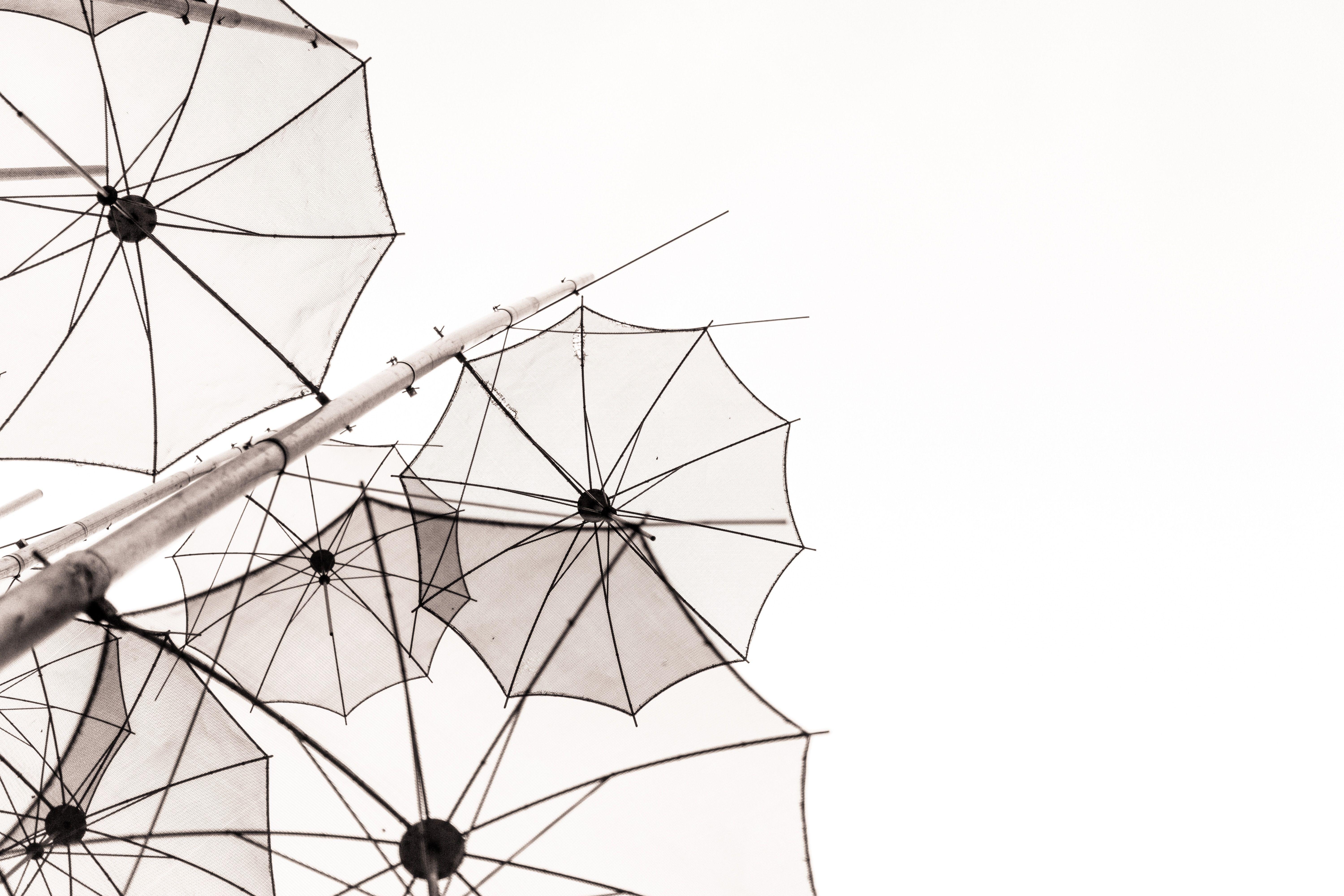 6000x4000 6000x4000 #black&white, #pole, #white, #minimal, #b&w