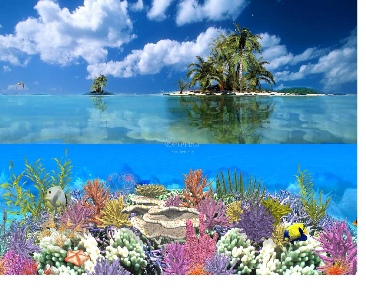 Открытки С Видами Моря