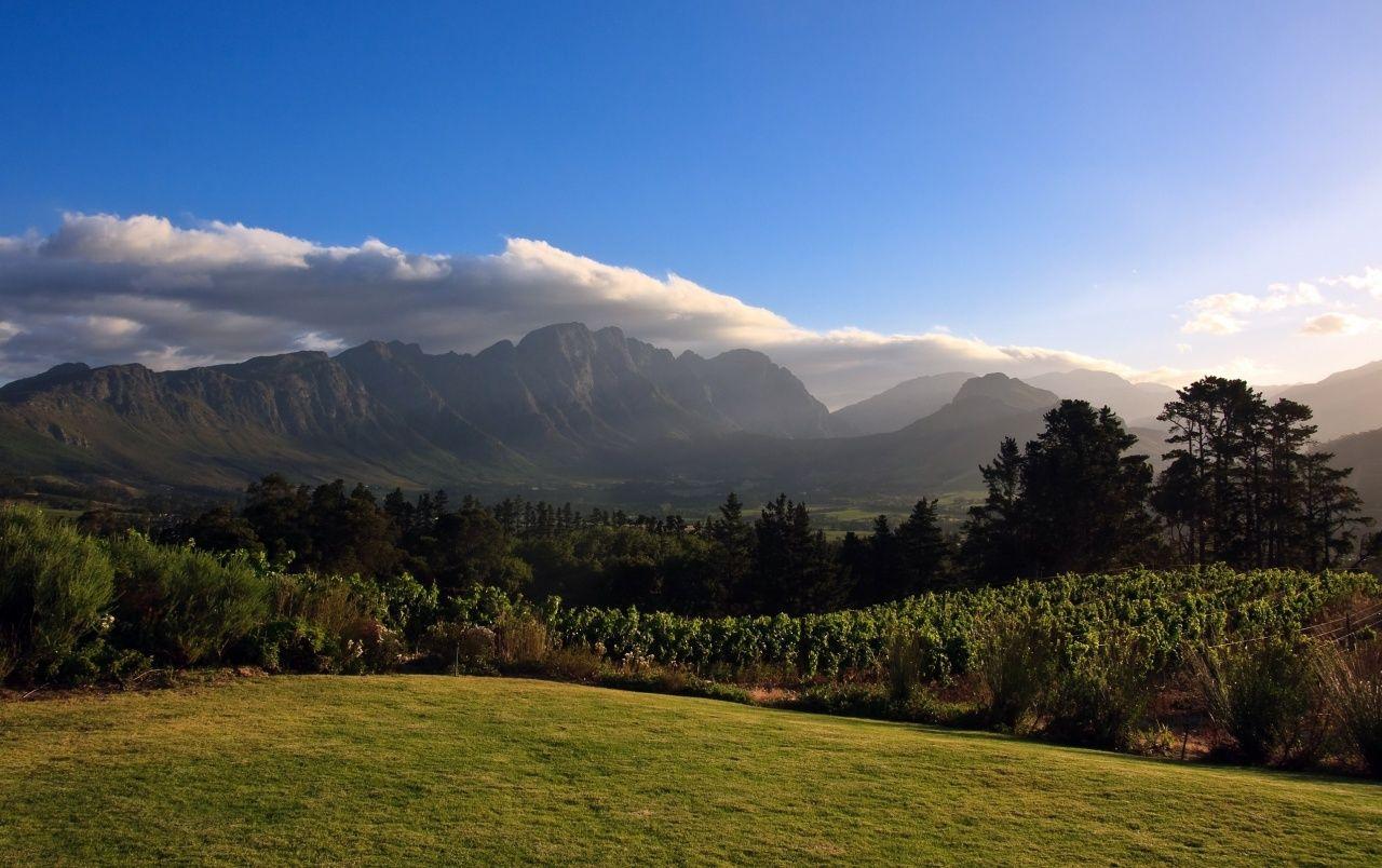1280x804 Gras Plants Trees Mountain Sky wallpaper. Gras Plants Trees