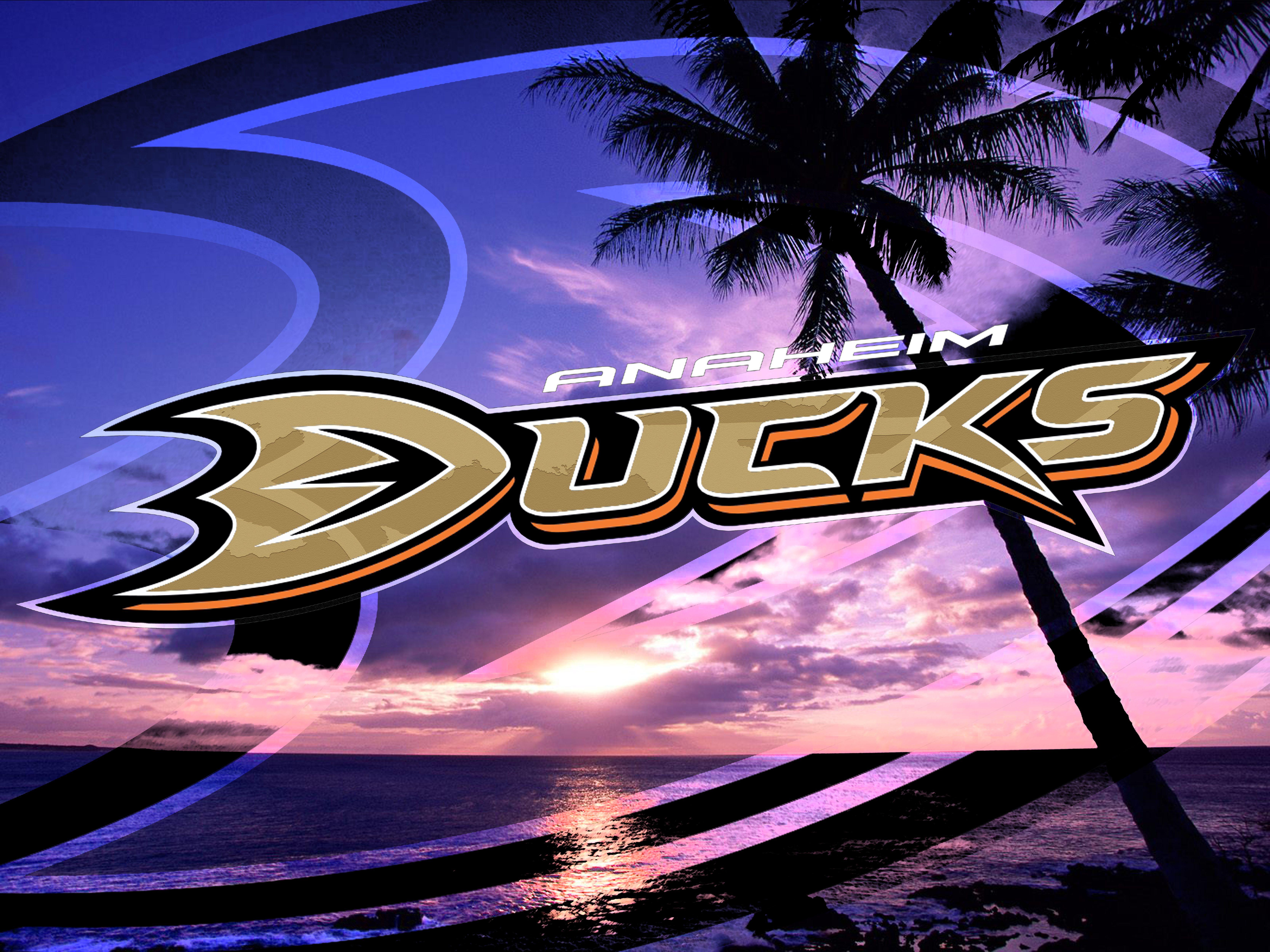 6667x5000 Anaheim Ducks Tahiti. Anaheim ducks, Anaheim ducks hockey, Ducks