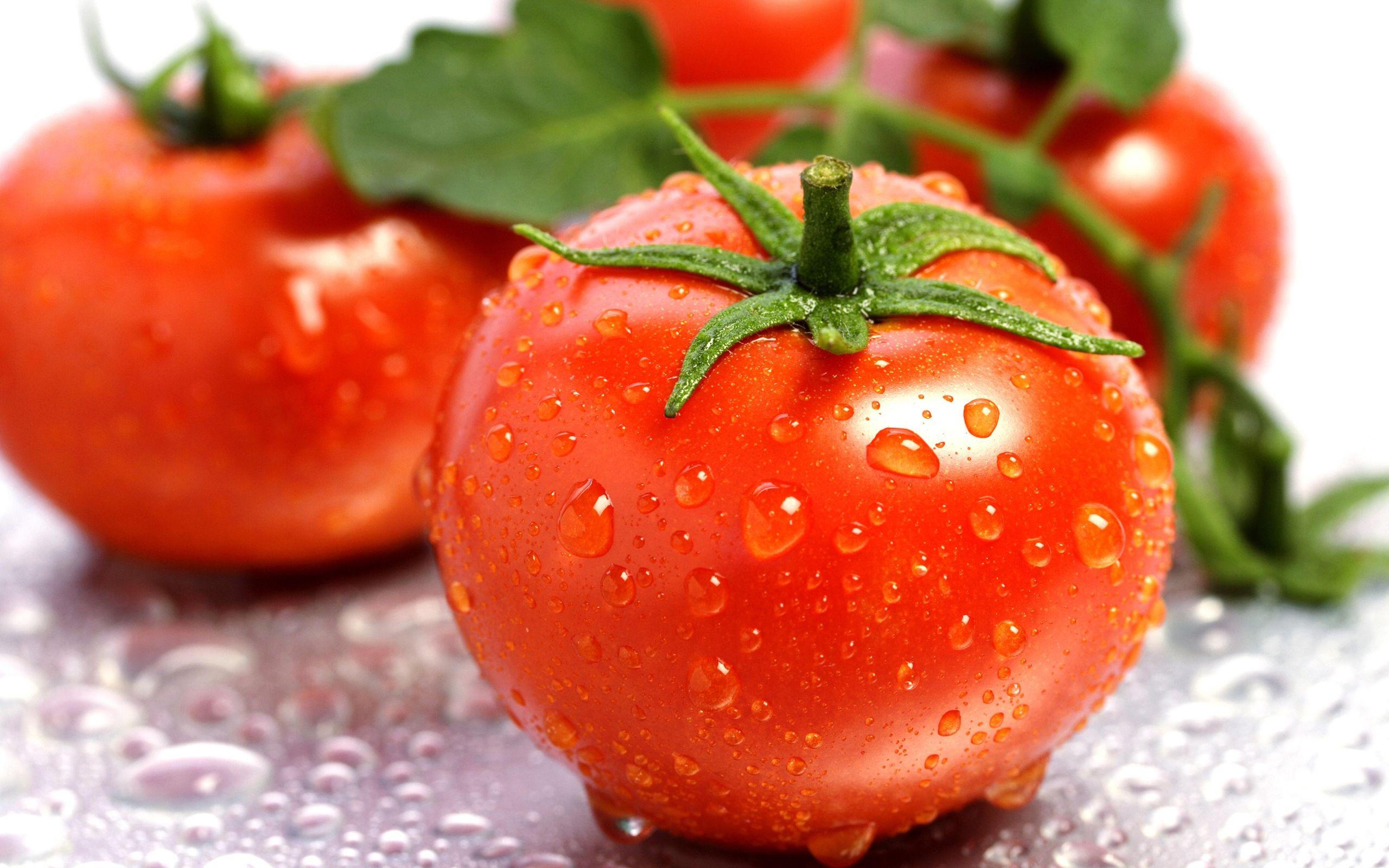 2560x1600 Tomato HD Wallpaper and Background Image