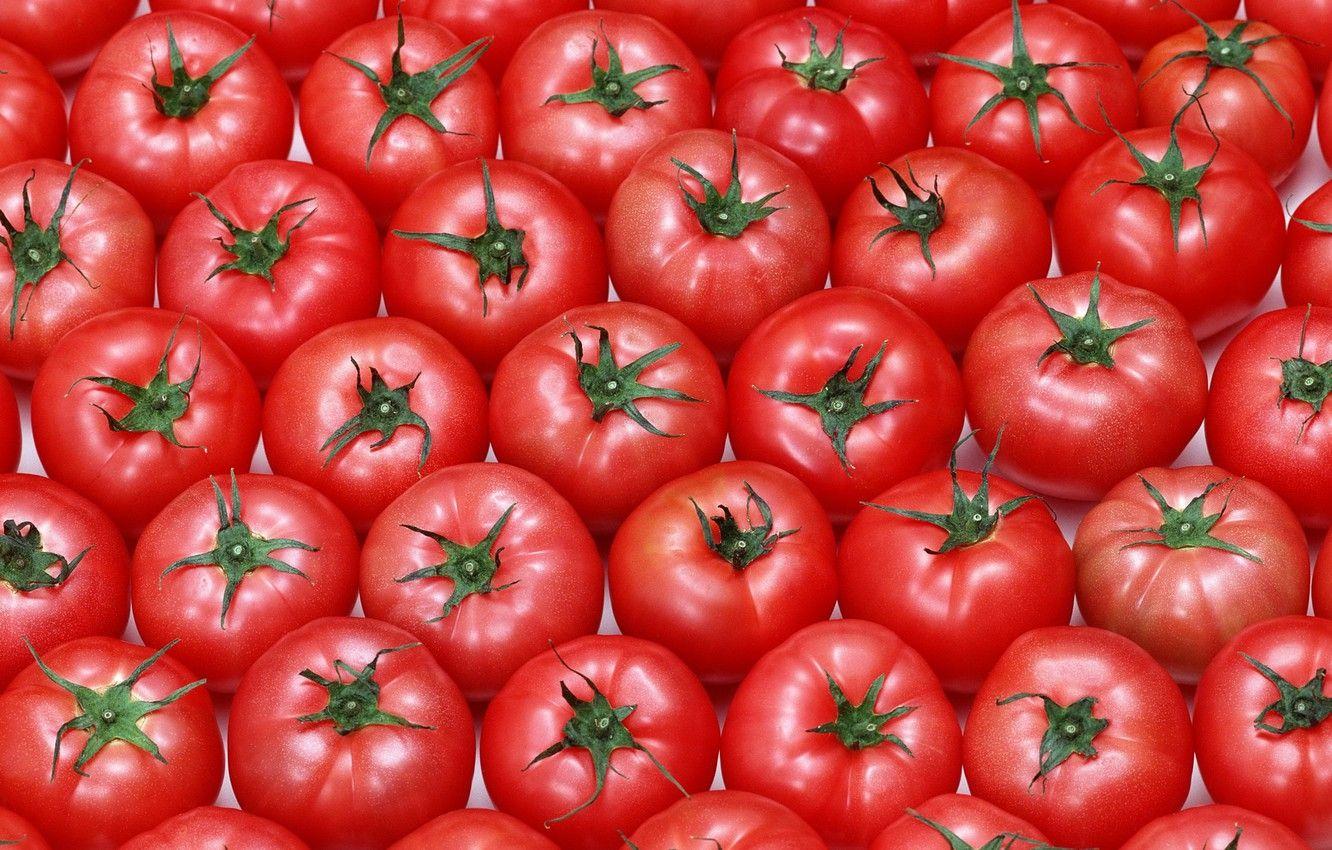 1332x850 Wallpaper background, texture, vegetables, tomatoes, tomatoes, red