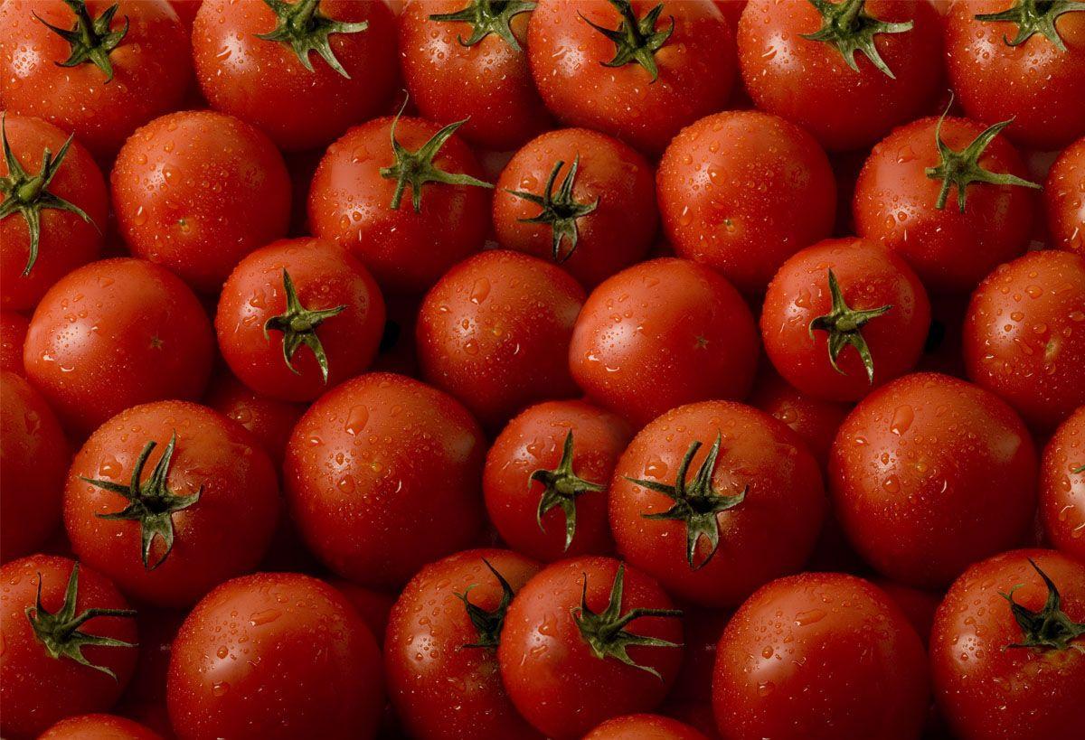 Tomatoes Wallpapers - Top Free Tomatoes Backgrounds - WallpaperAccess