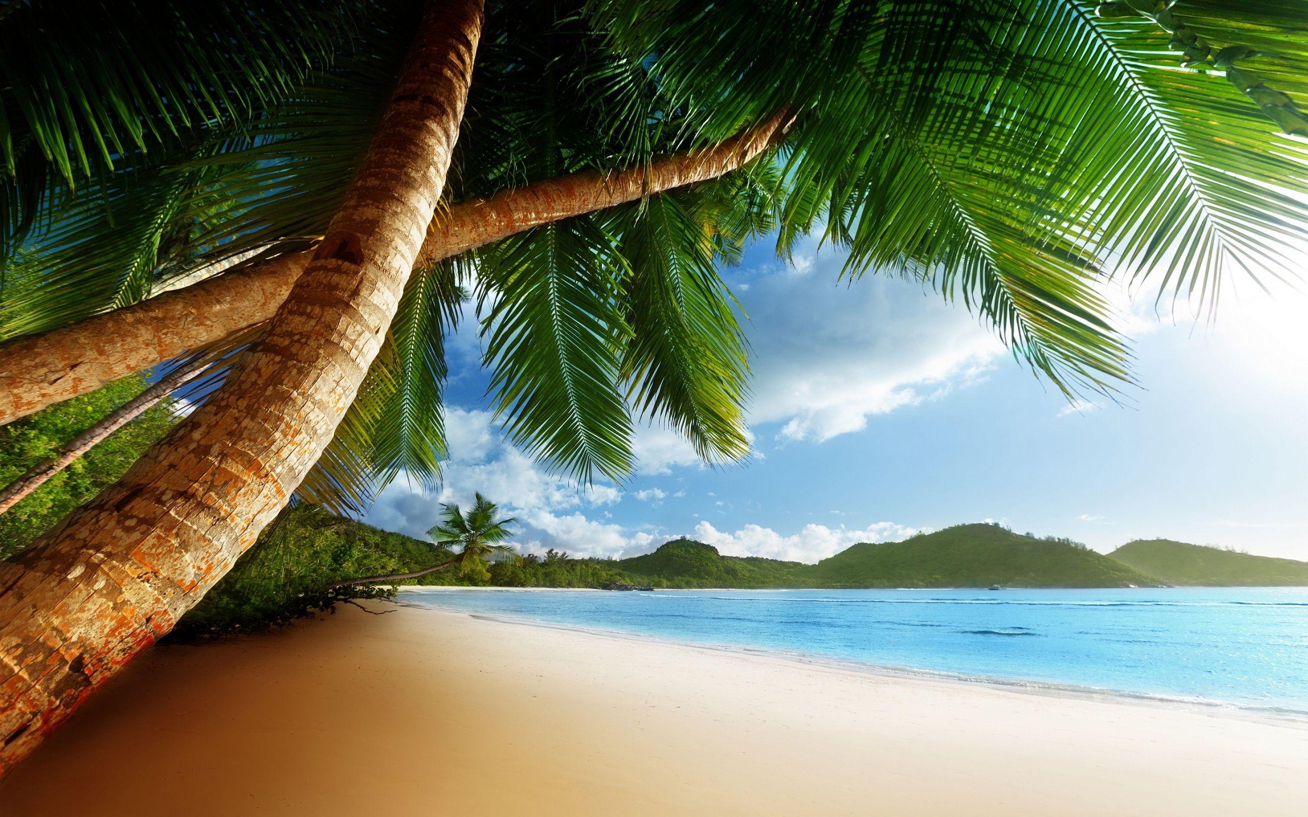 Caribbean Beach Wallpapers - Top Free Caribbean Beach Backgrounds ...