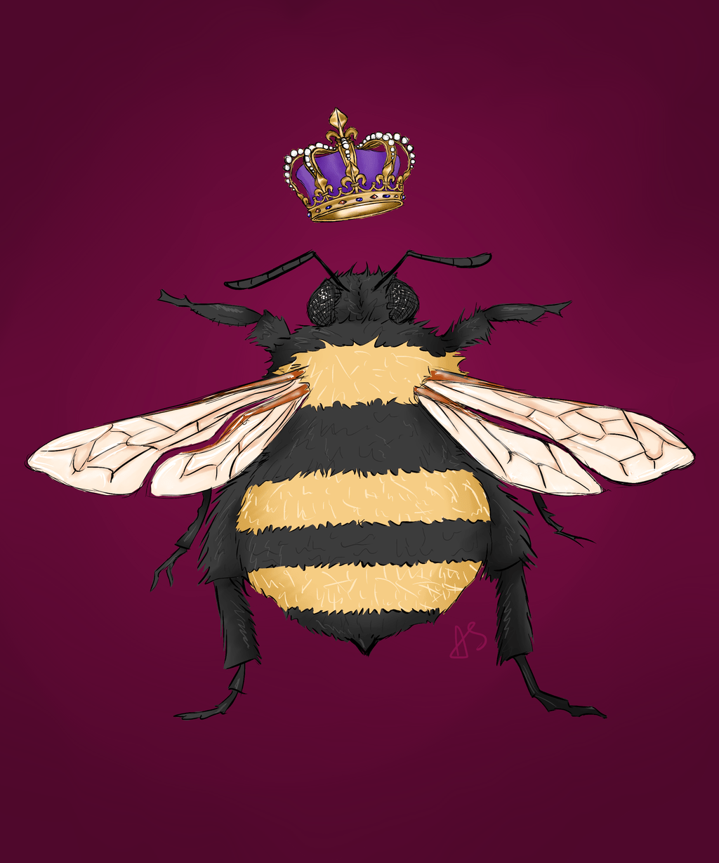 Queen Bee Wallpapers - Top Free Queen
