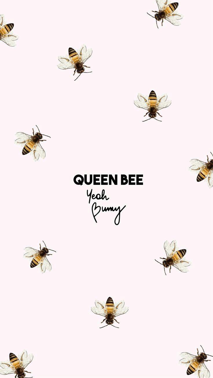Queen Bee Wallpapers - Top Free Queen Bee Backgrounds - WallpaperAccess