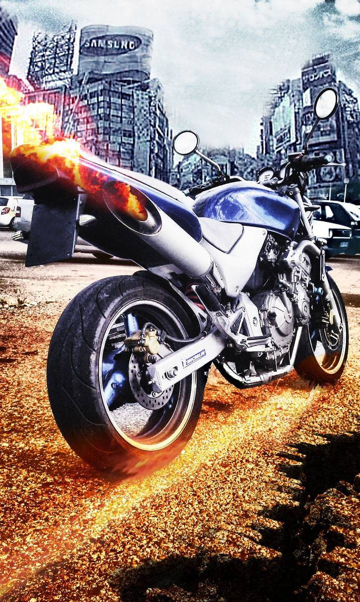 724x1209 Honda Cb 600 Hornet wallpaper
