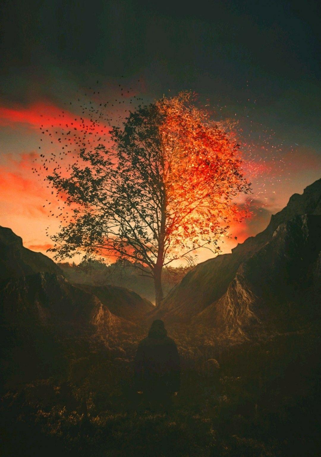 1080x1536 độc