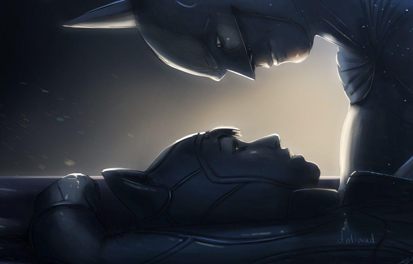 1332x850 Wallpaper look, mask, art, Batman, costumes, catwoman image