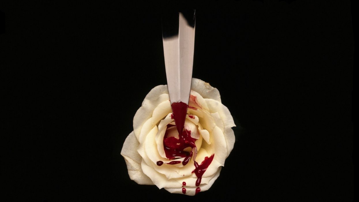 1245x700 Dark white black blood rose knife blade drops wallpaper