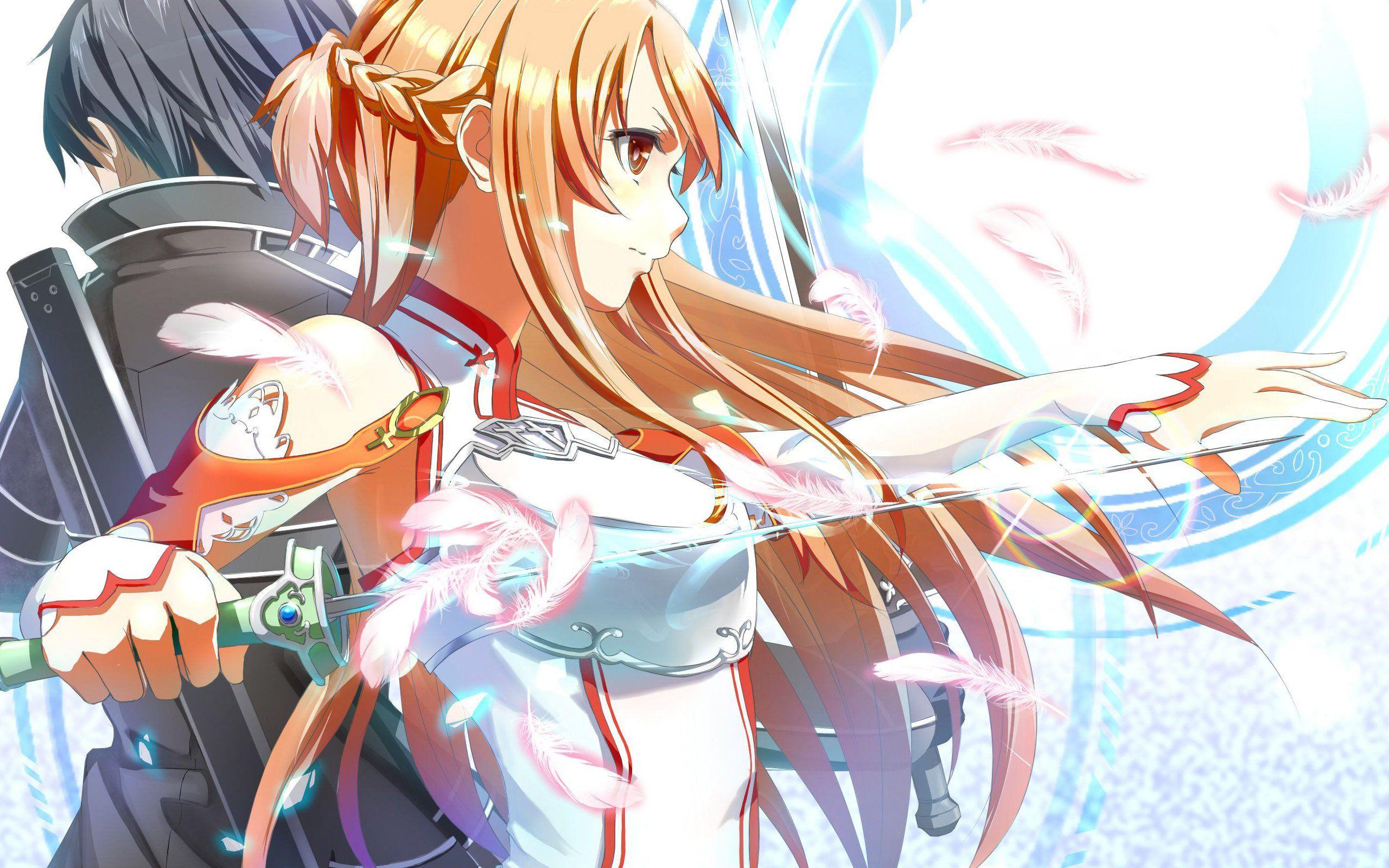 2560x1600 Sword Art Online Wallpaper HD