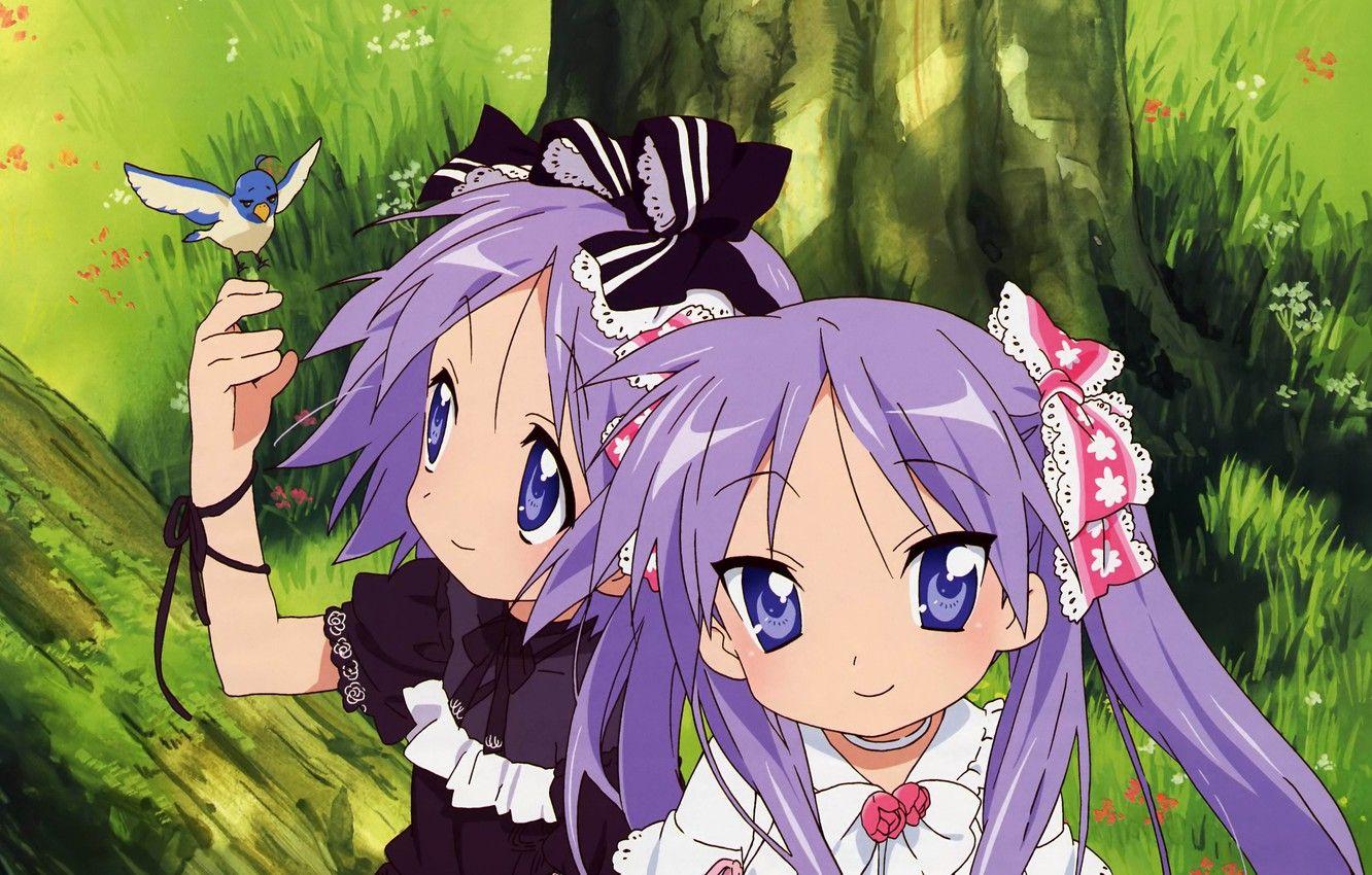 1332x850 Wallpaper forest, anime, TSUKASA Hiiragi, Kagami Hiiragi, Kagami