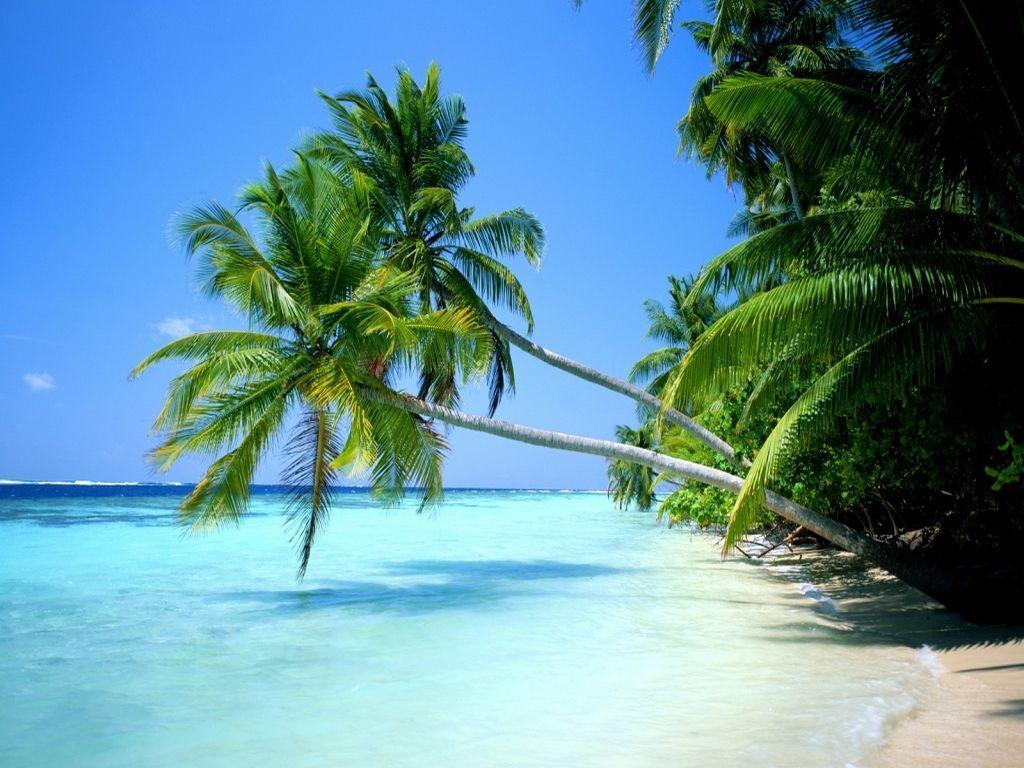 1024x768 Playa Del Carmen Wallpaper