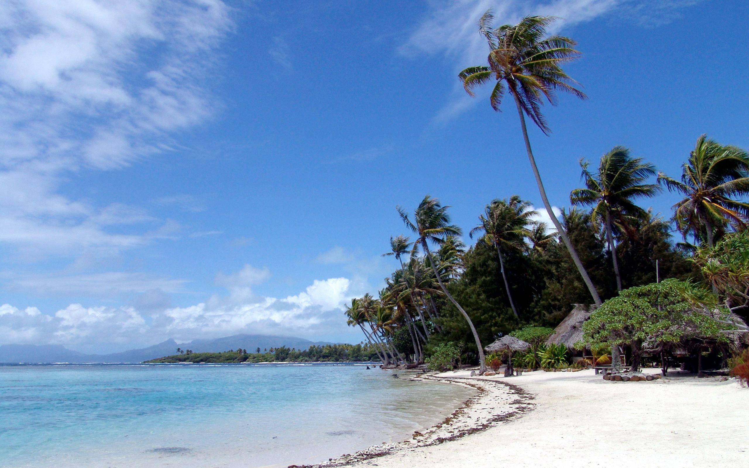 2560x1600 Free download Playa Wallpaper Image Galleries With