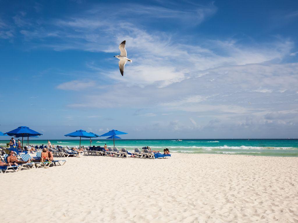 Playa Del Carmen Strip Clubs