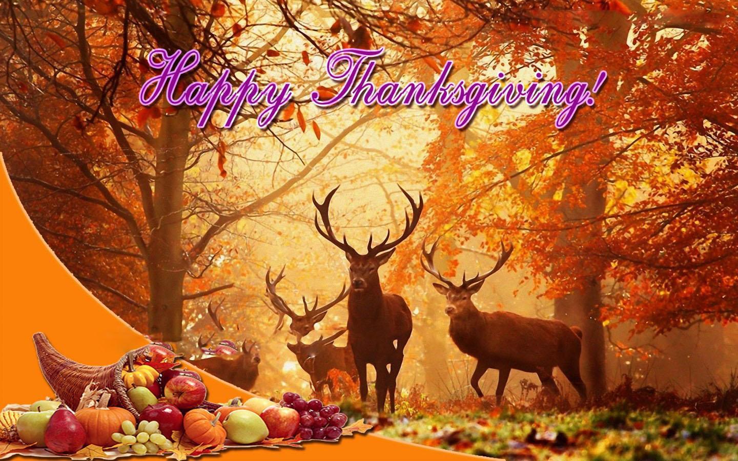 1440x900 Thanksgiving Picture Wallpaper