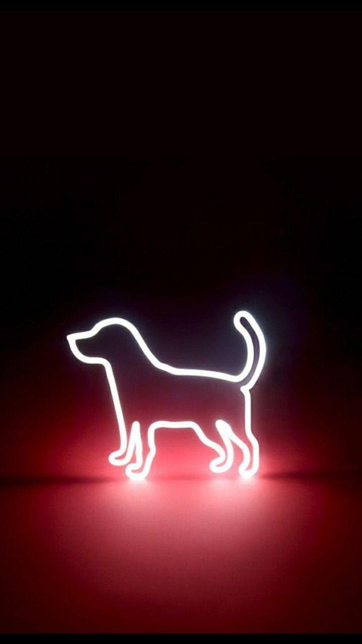 Neon Dog Wallpapers - Top Free Neon Dog Backgrounds - WallpaperAccess