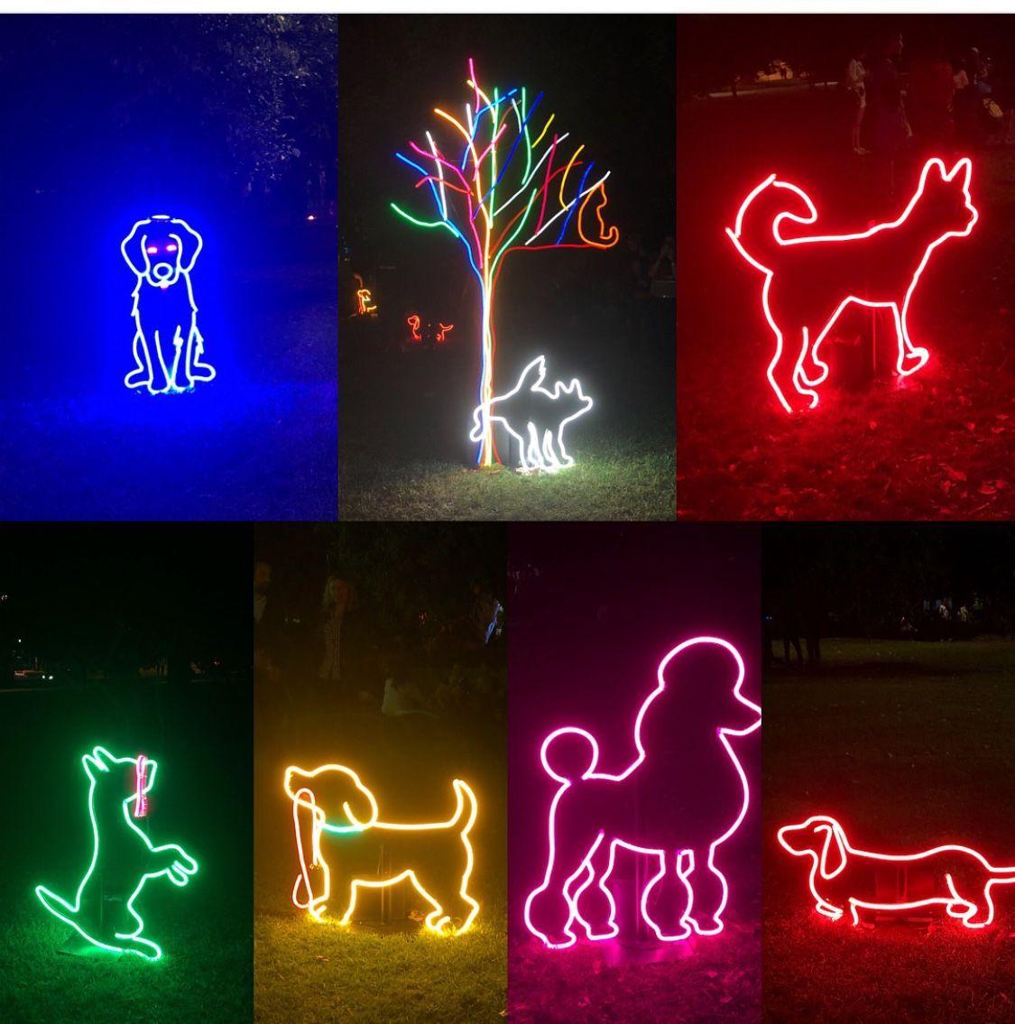 Neon Dog Wallpapers - Top Free Neon Dog Backgrounds - WallpaperAccess