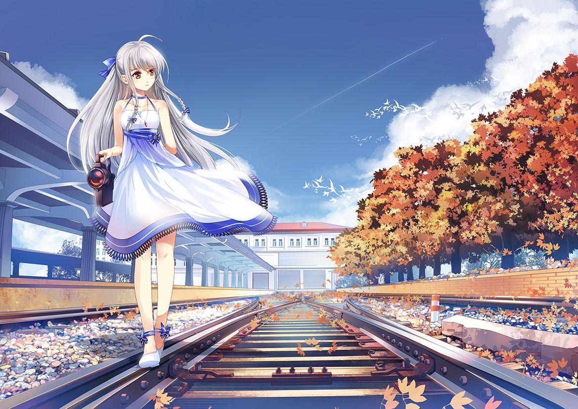 1169x827 animal anthropomorphism autumn bird braids china railway girl