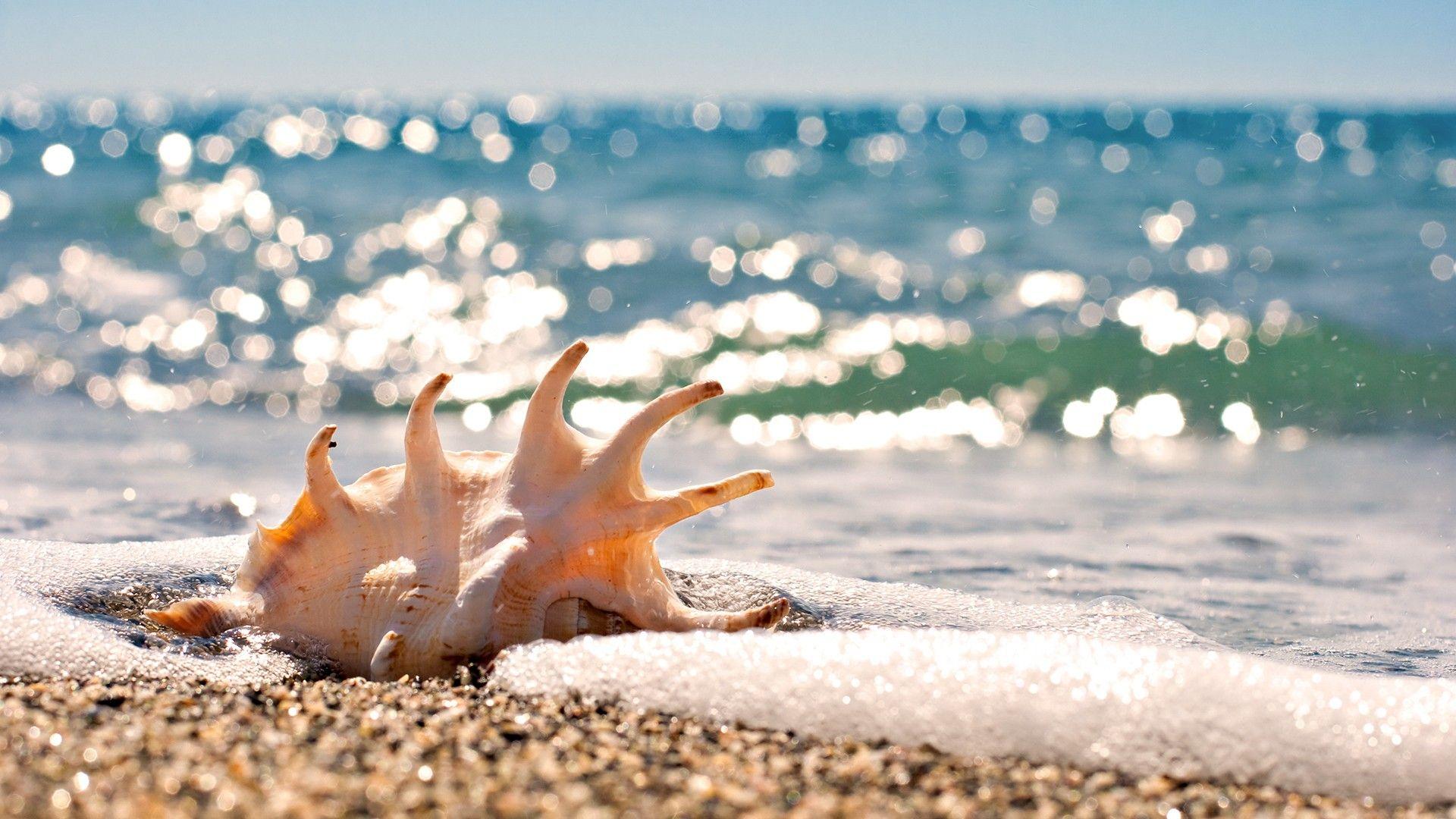 1920x1080 Desktop, beach, computer, background, ocean, nature