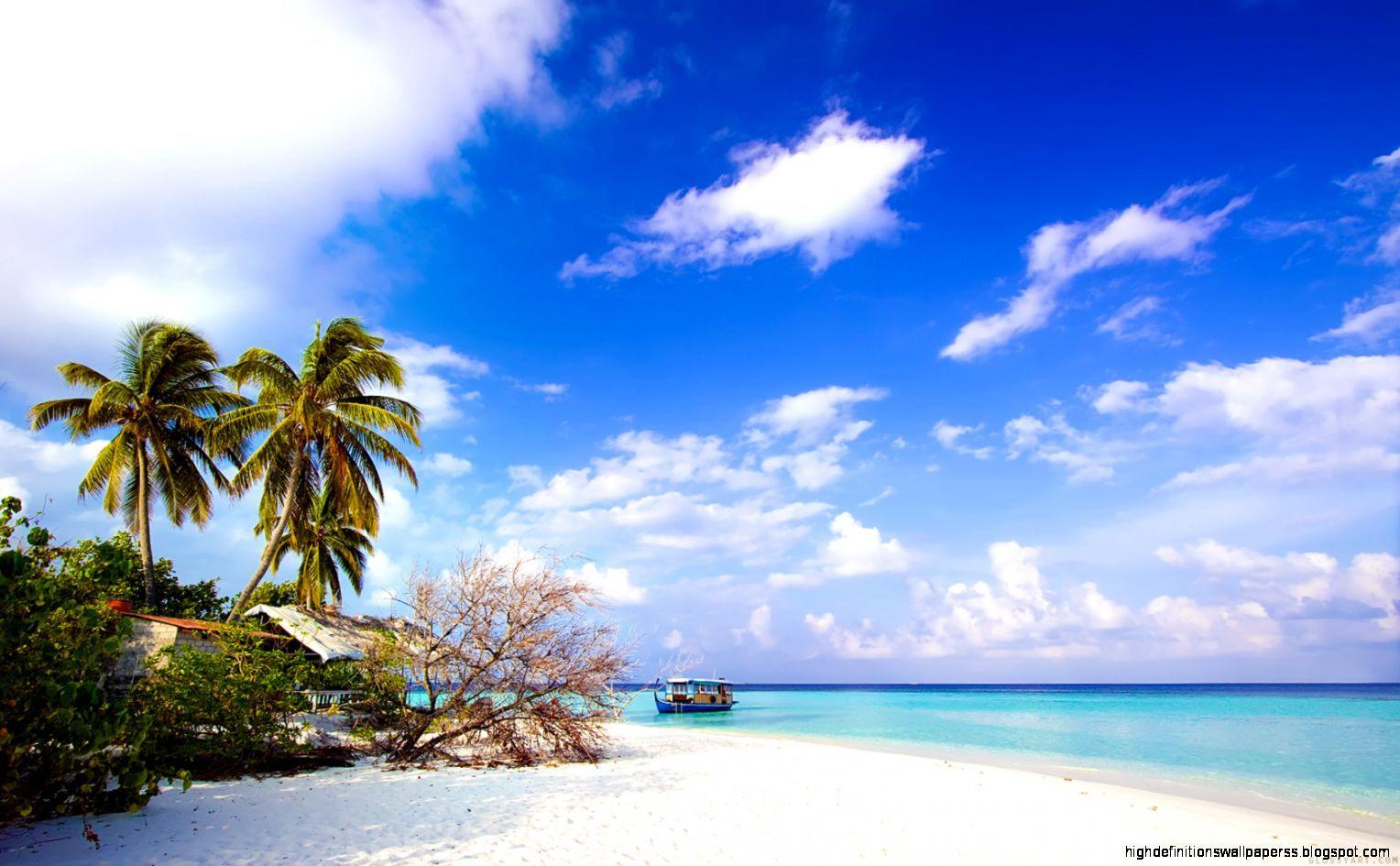1528x945 Blue Sky Trees Beach Computer Desktop Wallpaper HD. High
