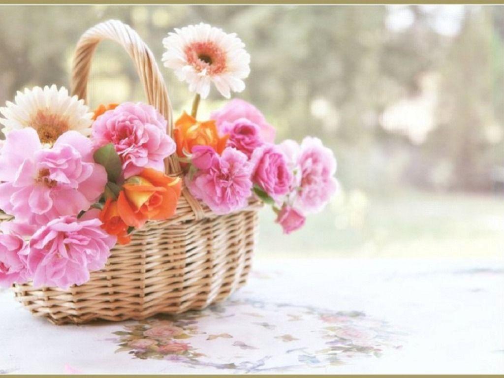 1024x768 Spring Flowers Wallpaper HD, image collections of wallpaper