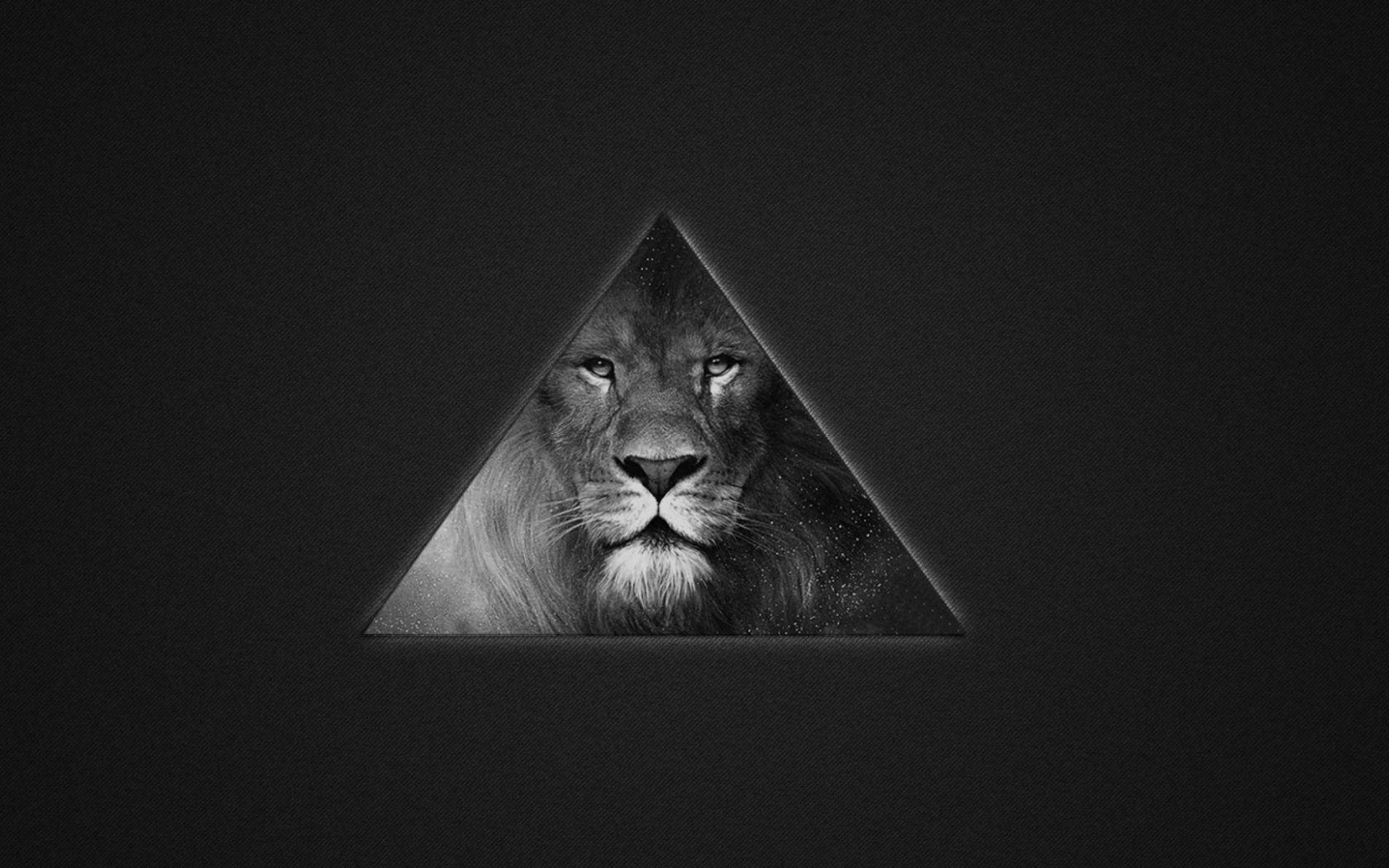 1680x1050 Free download Lions Black And White Triangle Wallpaper for Desktop