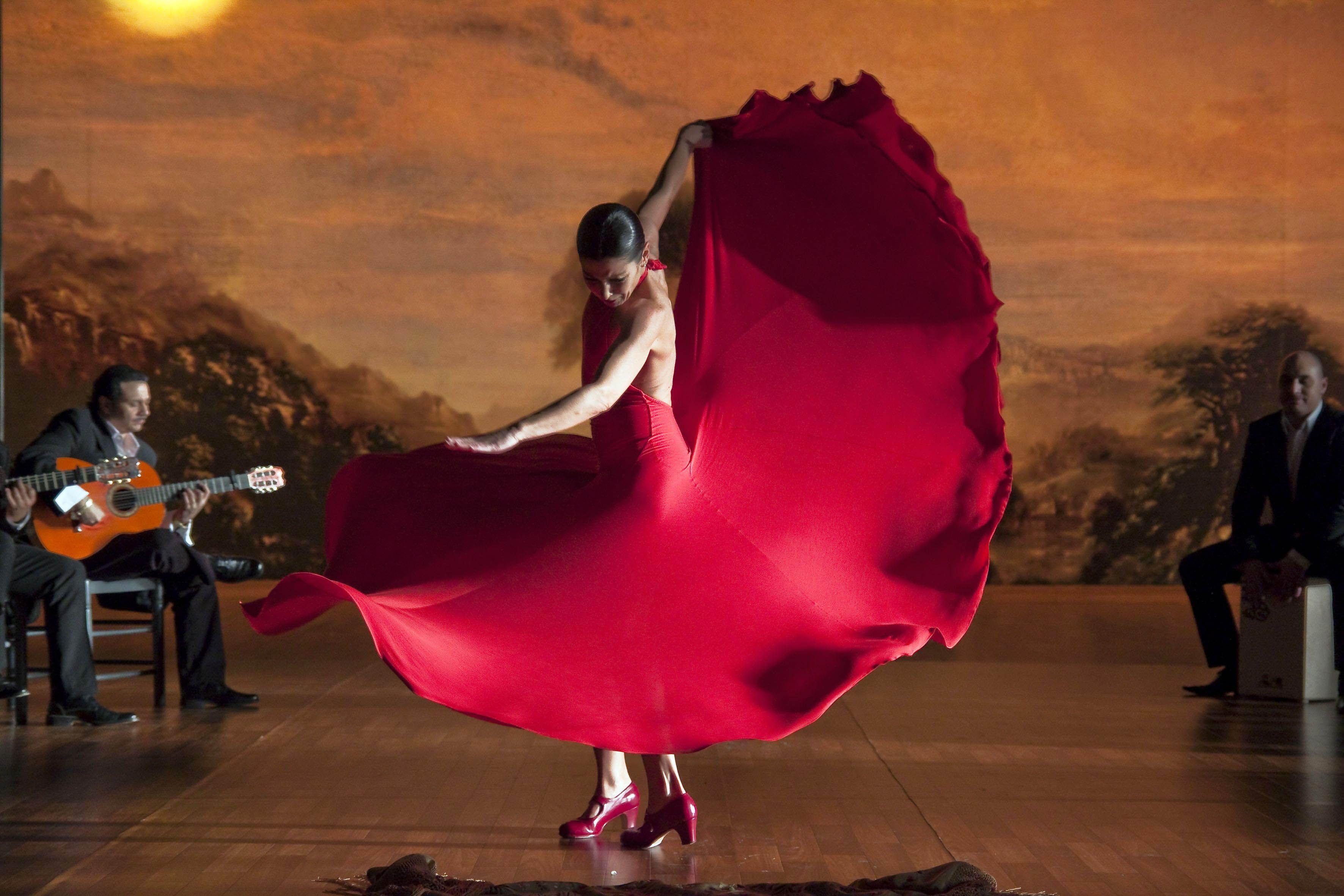 Flamenco Wallpapers Top Free Flamenco Backgrounds Wallpaperaccess