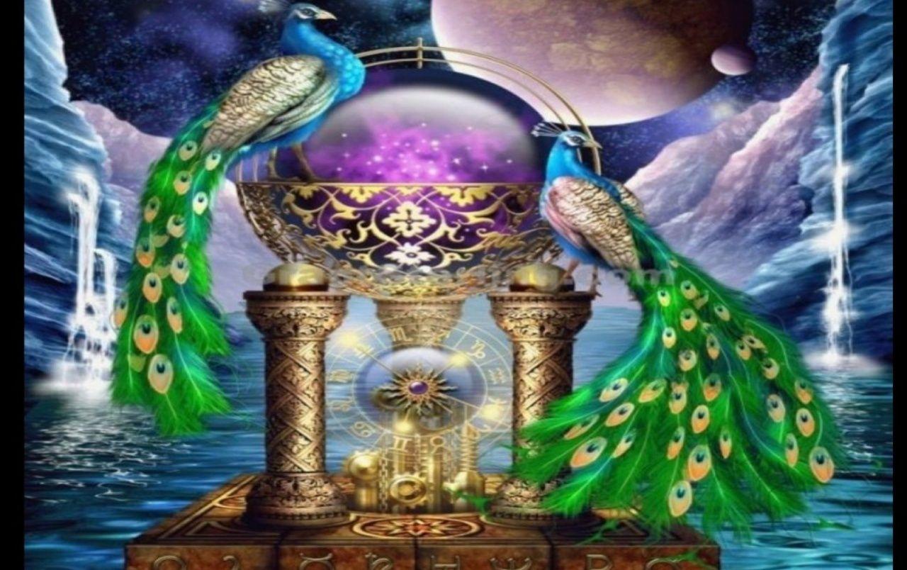 1280x804 Peacocks & Star Signs wallpaper. Peacocks & Star Signs