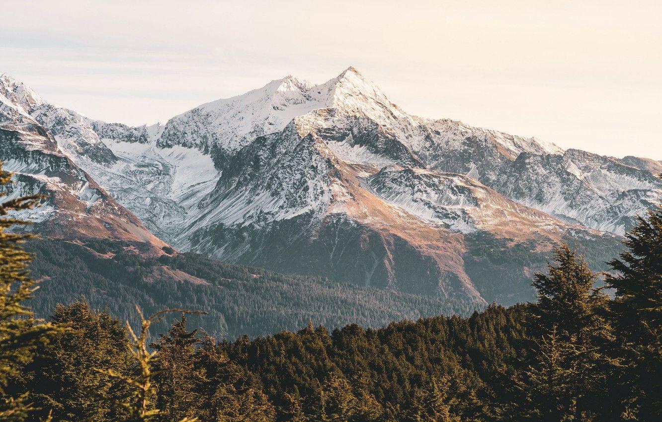 1332x850 Wallpaper forest, trees, nature, mountains, landscapes, blur