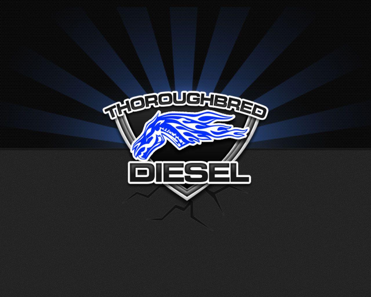 Diesel Wallpapers Top Free Diesel Backgrounds Wallpaperaccess