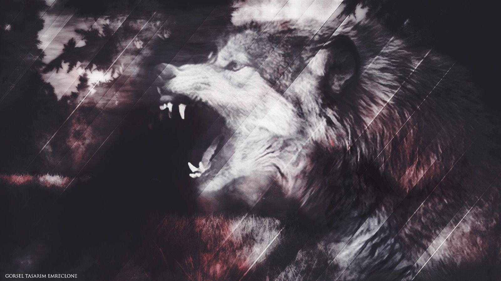 Lycan Wallpapers Top Free Lycan Backgrounds Wallpaperaccess