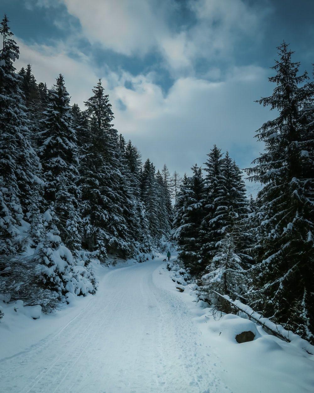 1000x1250 Snow Wallpaper [HD]. Download Free Image