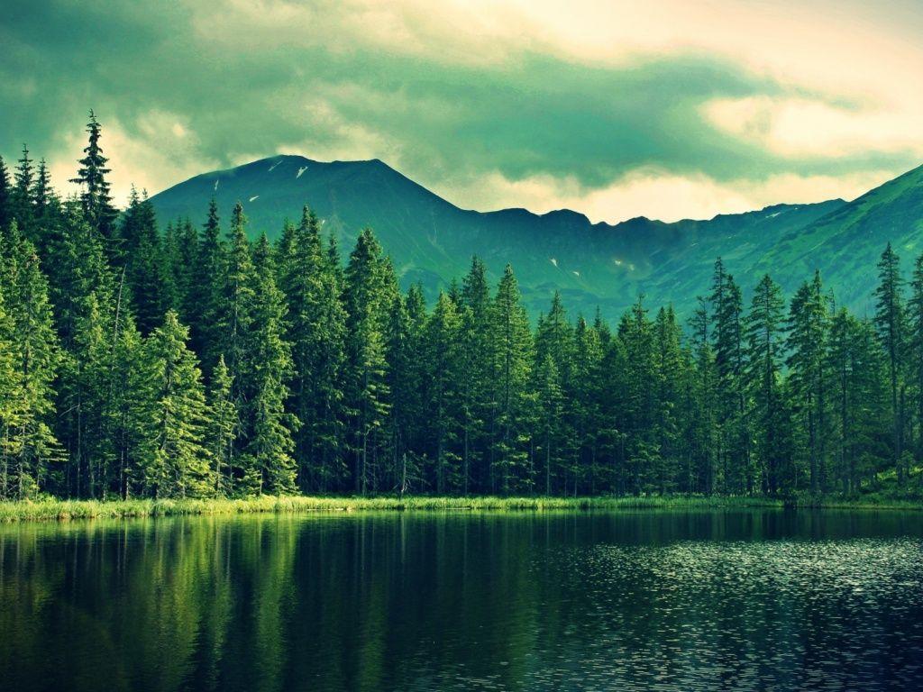 1024x768 Green Lake Wallpaper