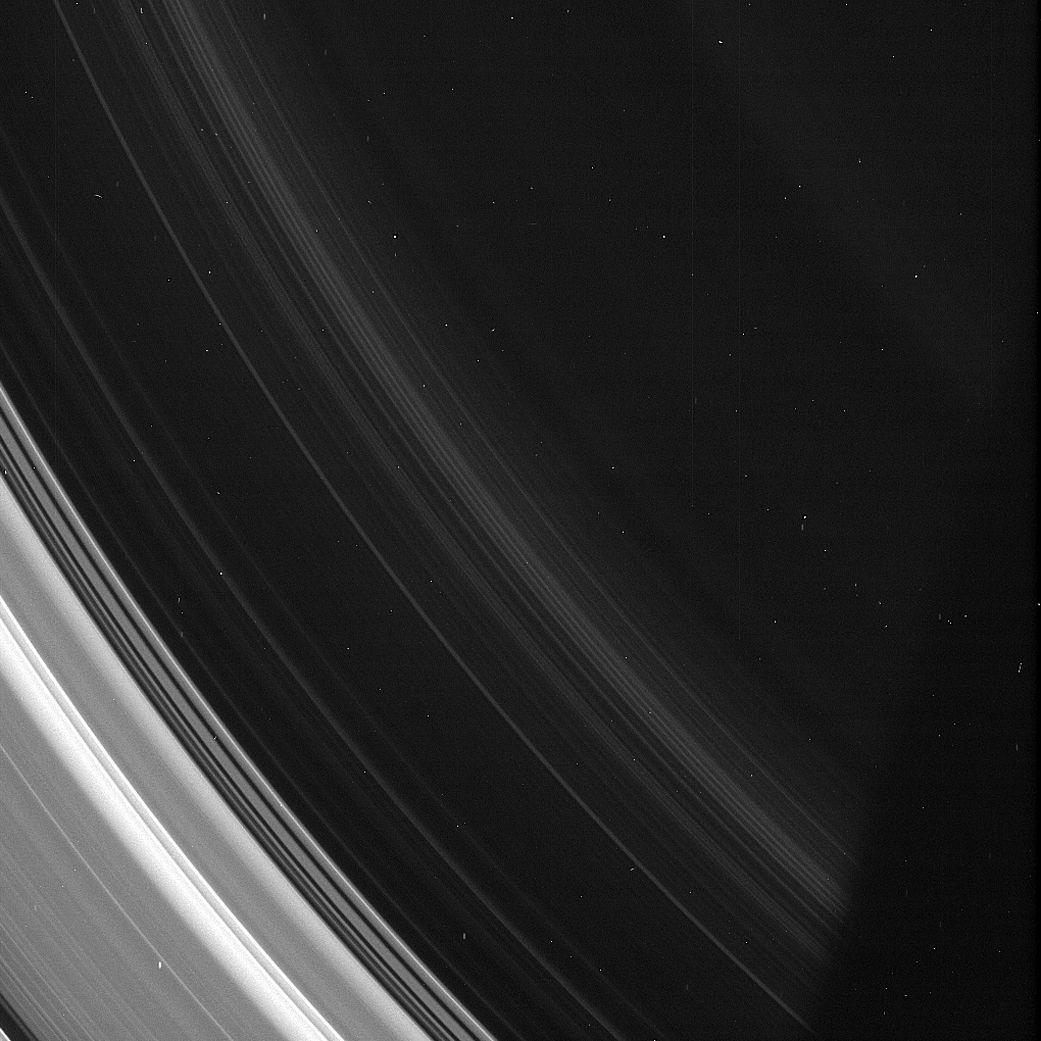 1041x1041 Spirals in the D Ring