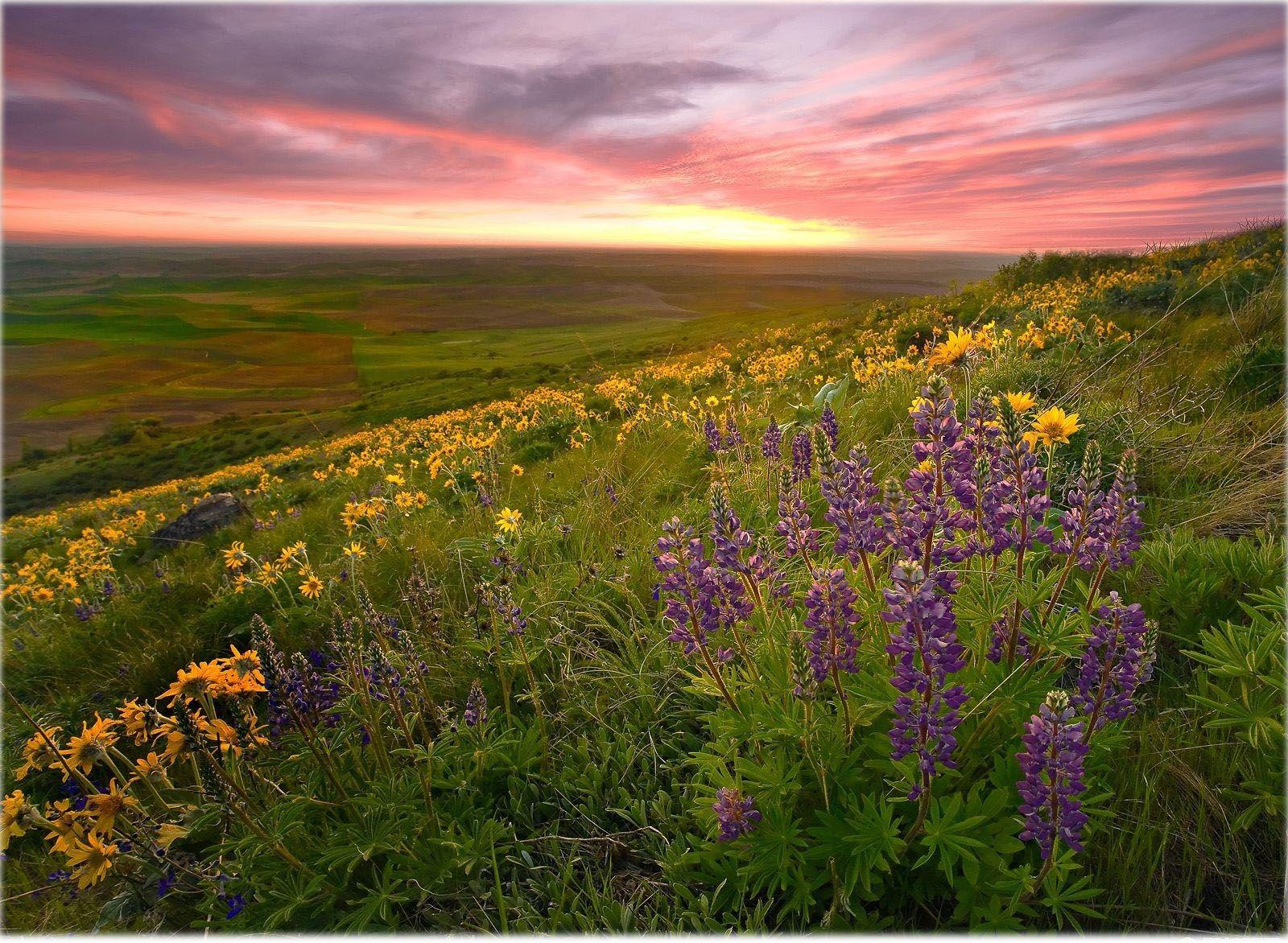 Spring Scenery Wallpapers - Top Free Spring Scenery Backgrounds ...