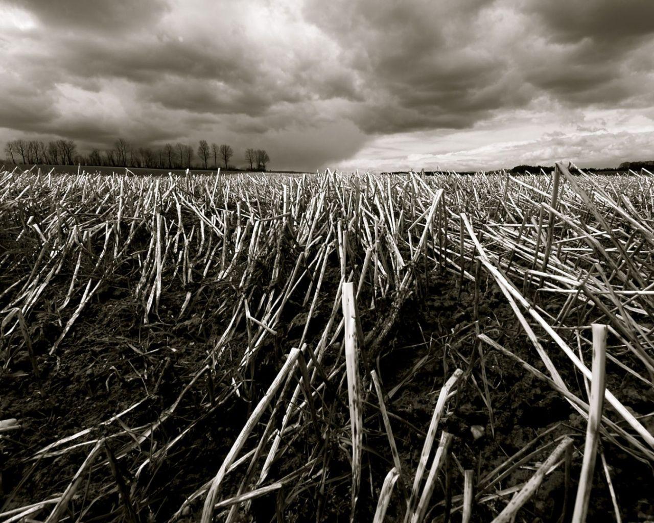 1280x1024 Dark Autumn wallpaper. Dark Autumn