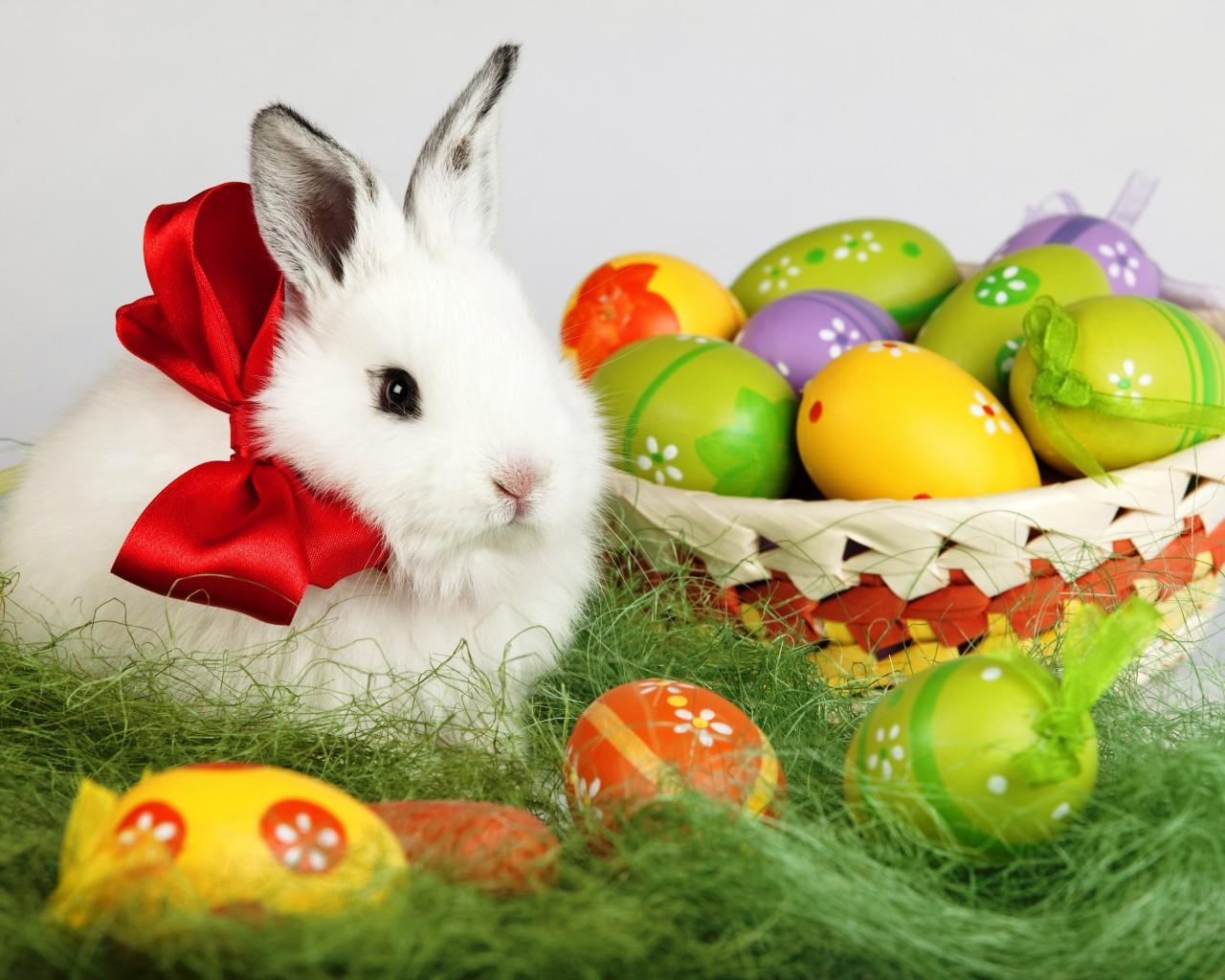1280x1024 Cute Easter Bunny