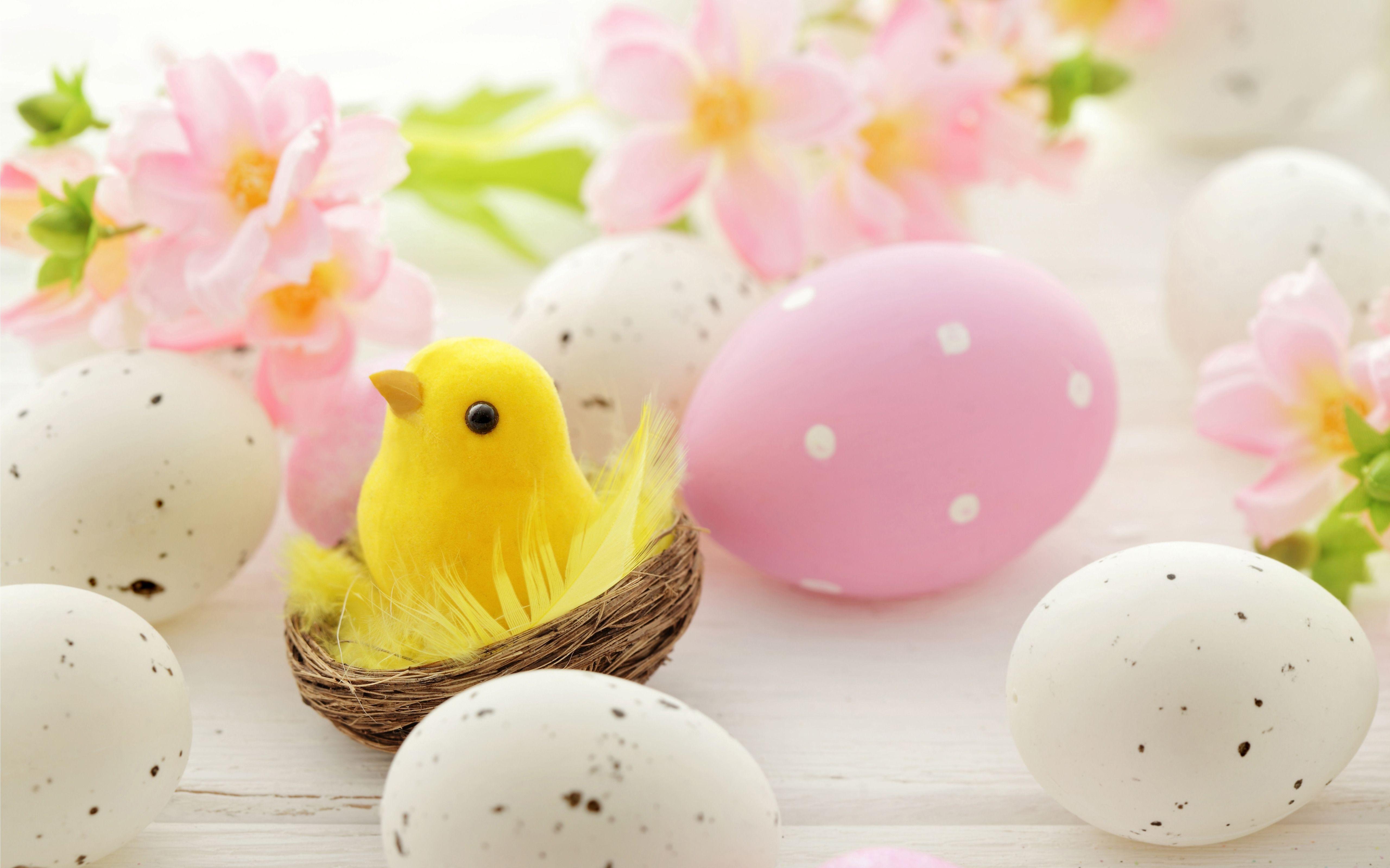 Wallpaper color paint eggs Easter images for desktop section праздники   download